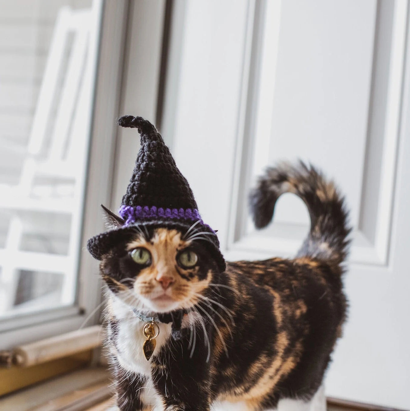 Witch Hat Cat Costumes Cat Accessories Cat Clothings Cat Accessories Cat Supplies Pet Costumes Pet Accessories Pet Clothings Pet Su