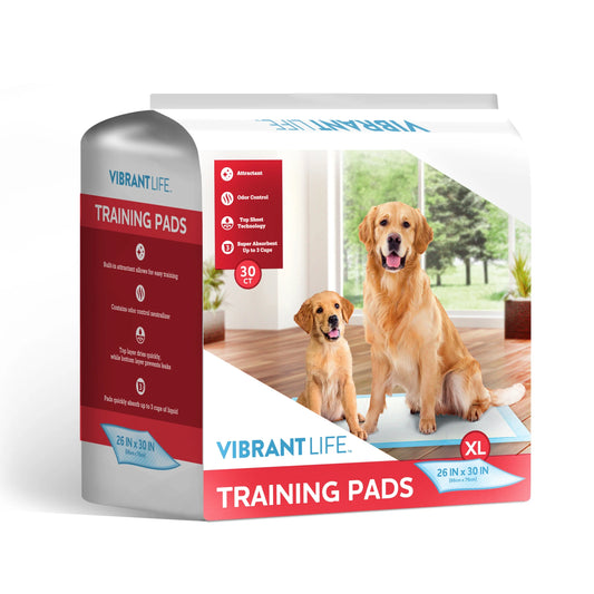 Training Pads – Super Absorbent, Leak Proof, & Fast Dry Dog and Puppy Pee Pads – XL 26 in X 30 In, 30 Count