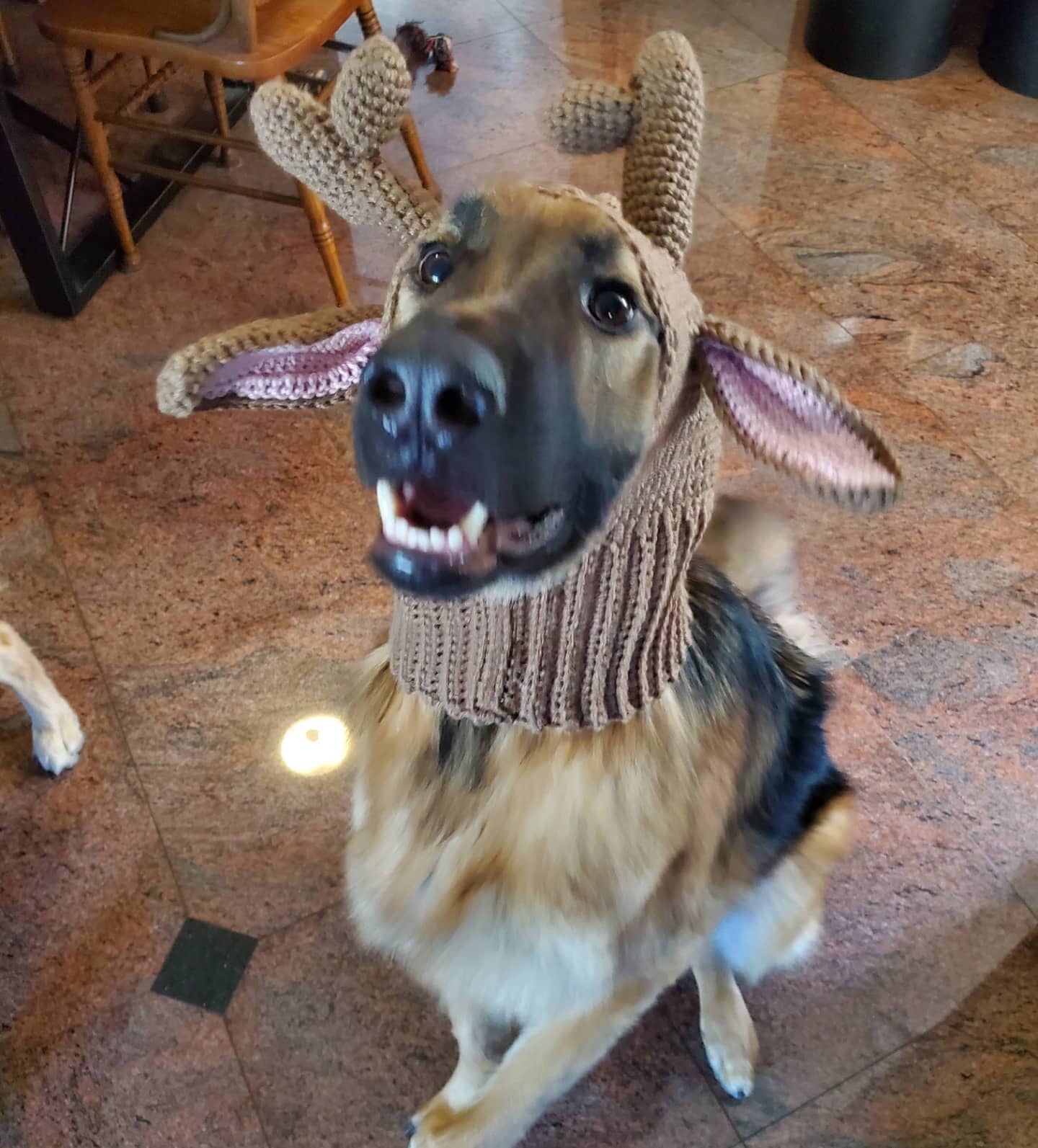 Reindeer Costume for Dogs