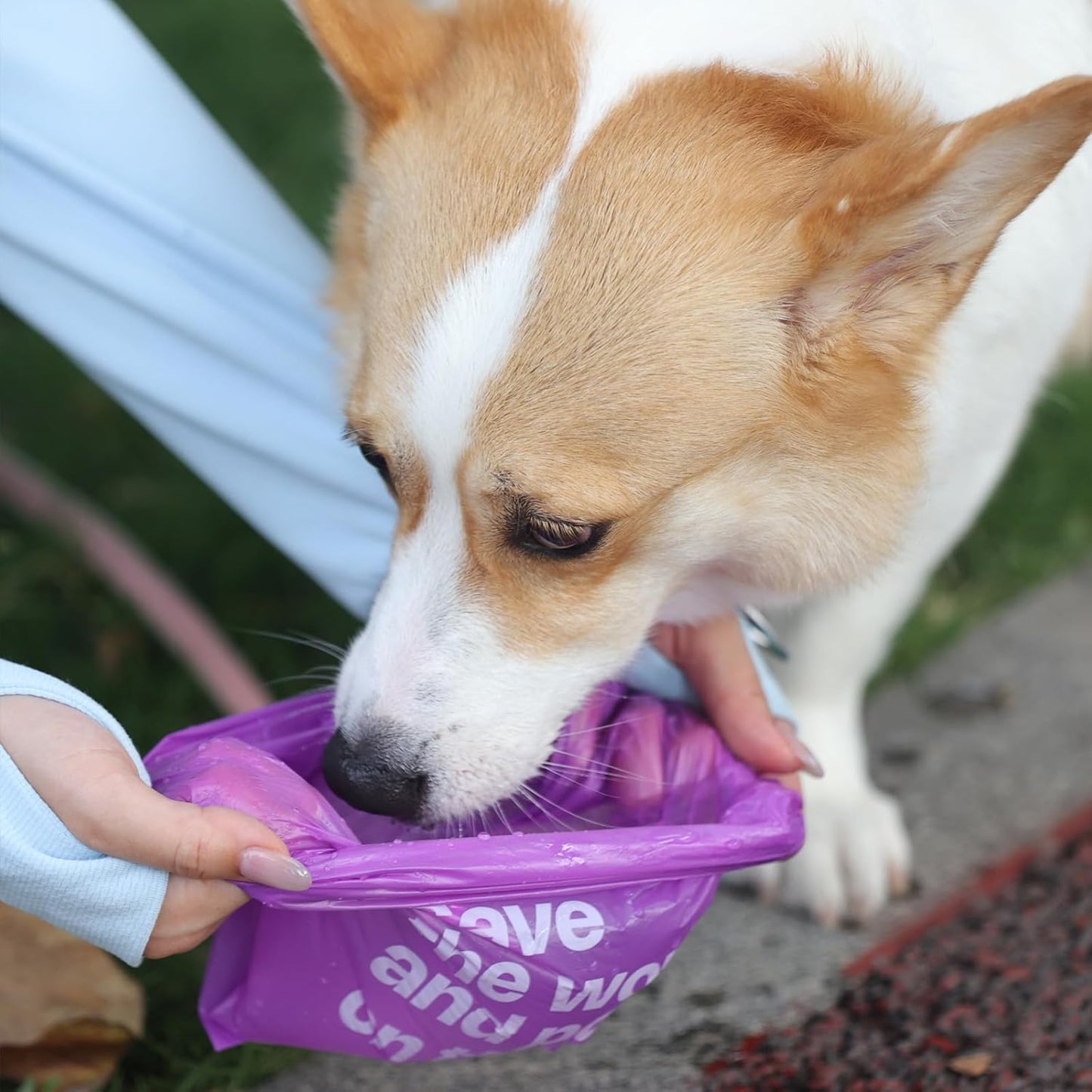 Dog Poop Bags with Handles 60 Rolls 720 Counts Big Sizes Leak Proof and Extra Thick Waste Bags Refill Rolls for Walking Small Medium Large Dogs Cats Litter with 2 Dispensers Lavender Scented