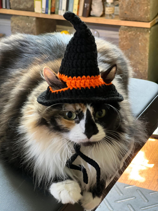 Witch Hat Cat Costumes Cat Accessories Cat Clothings Cat Accessories Cat Supplies Pet Costumes Pet Accessories Pet Clothings Pet Su