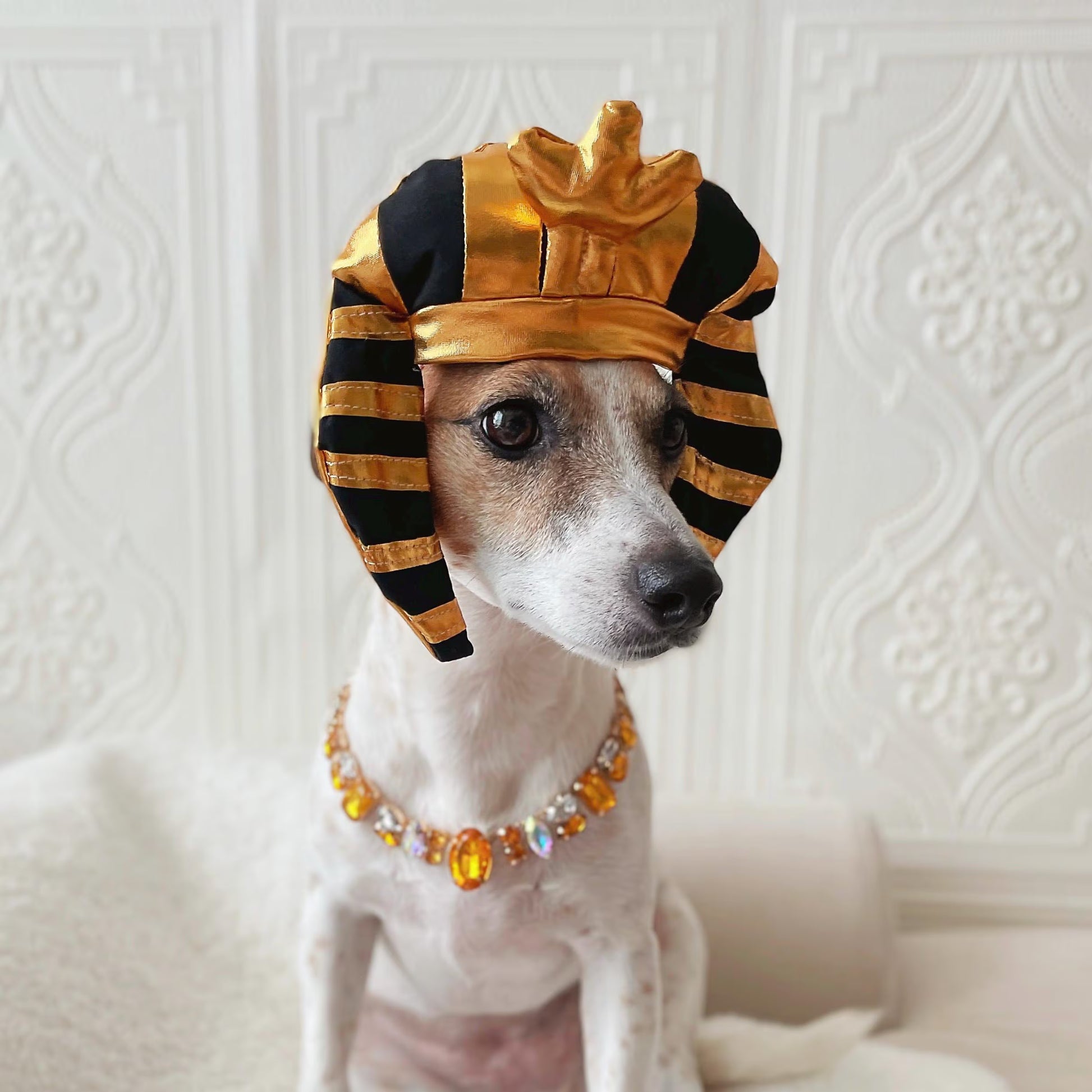Egyptian King'S Headdress Pharaoh'S Crown Hat for Cat Dog Funny Halloween Costume Photoshoot Birthday Gifts for Pet Tiktok