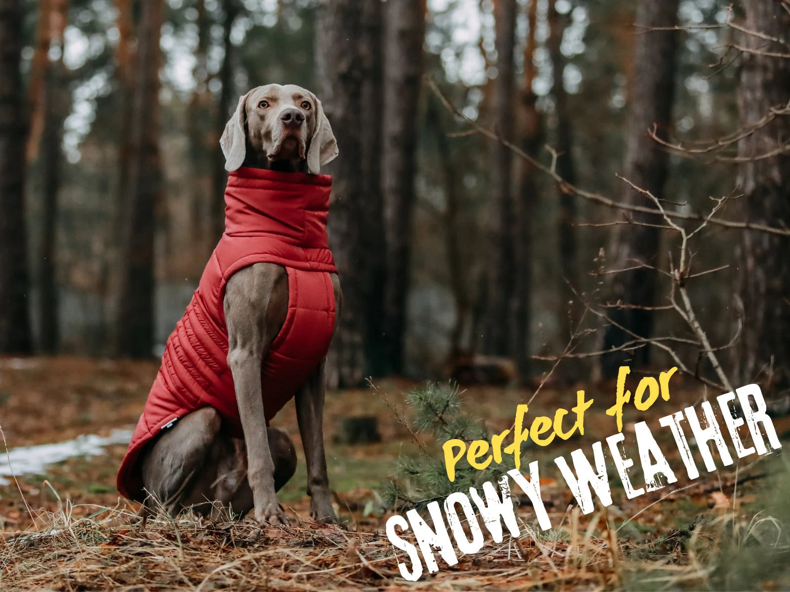 Warm Winter Coat for Dogs - Waterproof and Windproof Winter Jacket for Dogs - Stylish Pet Clothes - Pet Clothes - Dog Lover - Gift for Dogs
