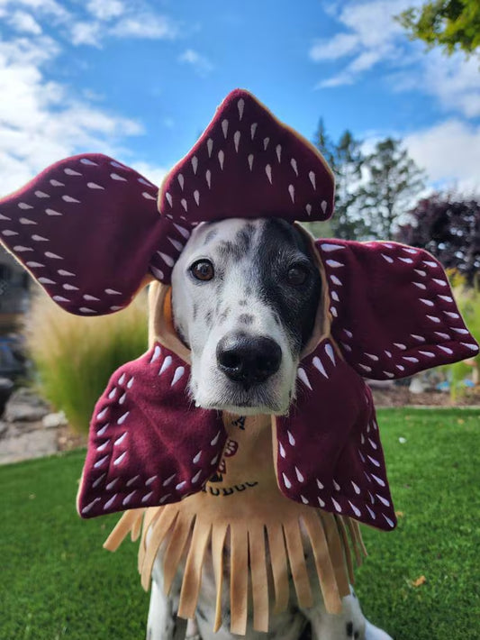 Demodog Demogorgon Stranger Things Inspired Embroidered Dog Costume Scarf or Snood