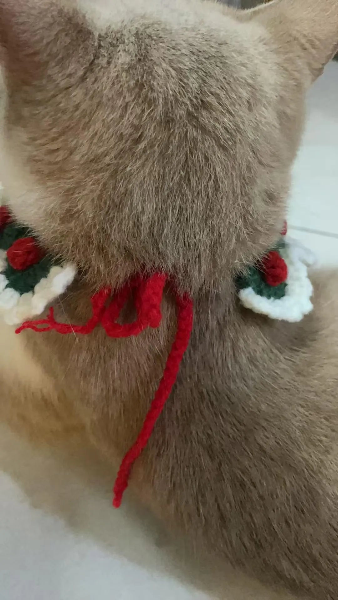 Handmade Crochet Pet Collar: Adjustable Green Cat & Dog Costume