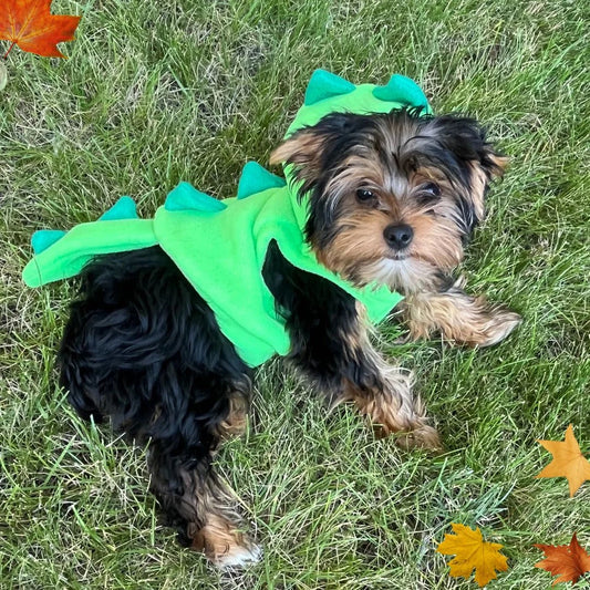 Dinosaur Dog or Cat Costume, Handmade Fleece Halloween Pet Dress-Up, Festive Dog Halloween Outfit