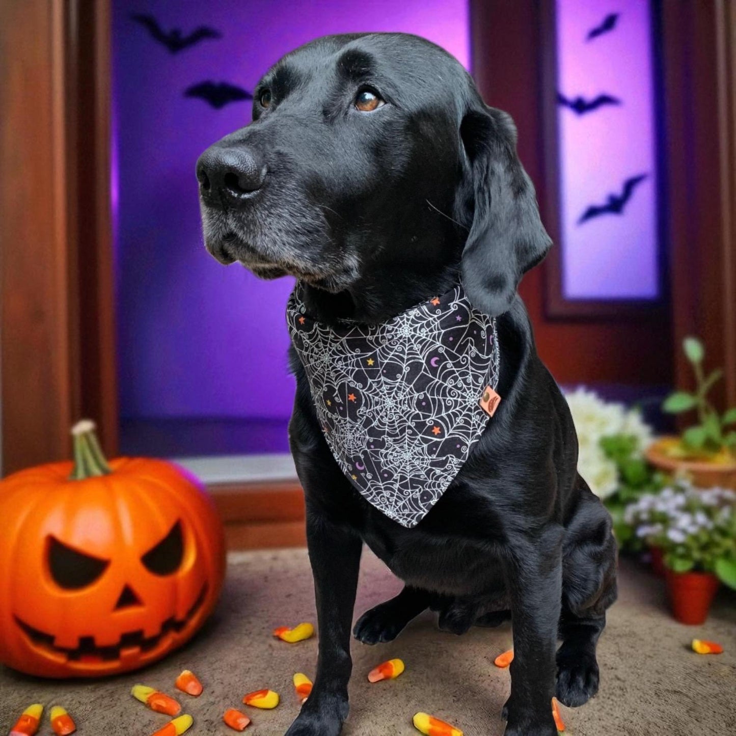 Halloween Dog Bandana Halloween Scarf Halloween Dog Gift Fall Dog Bandana Dog Costume Black and Orange Dog Bandana Spiderweb Bandana