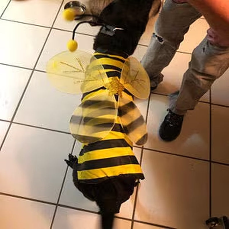 DOG COSTUME. "Bumble Bee" Dog Costume, Halloween for Pets,
