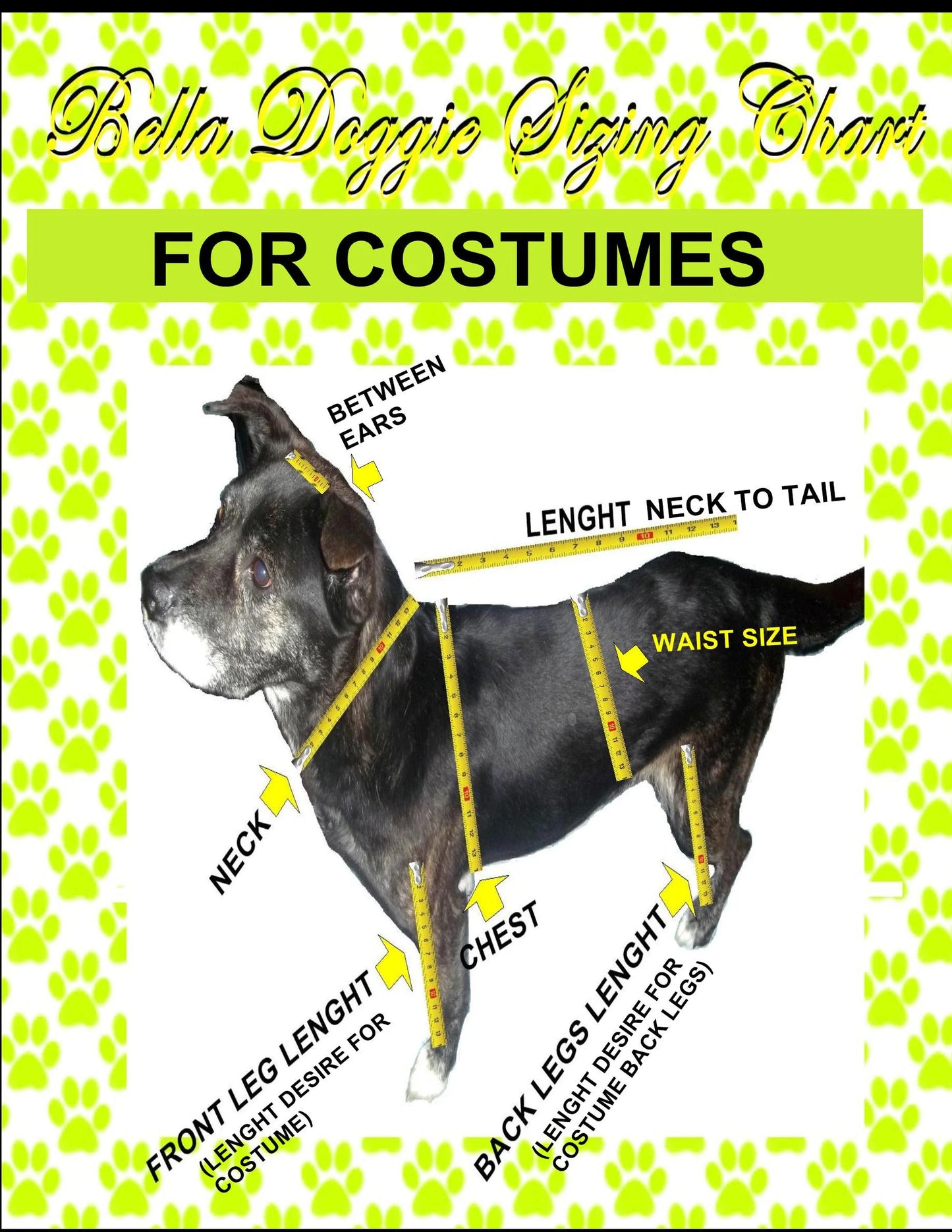 DOG COSTUME. "Bumble Bee" Dog Costume, Halloween for Pets,