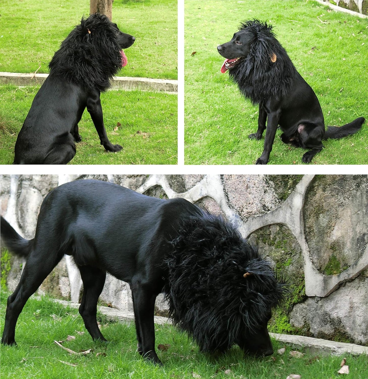 Lion Mane Wig for Dogs with Ears, Funny Pet Costumes for Halloween Christmas (Size L, Black)