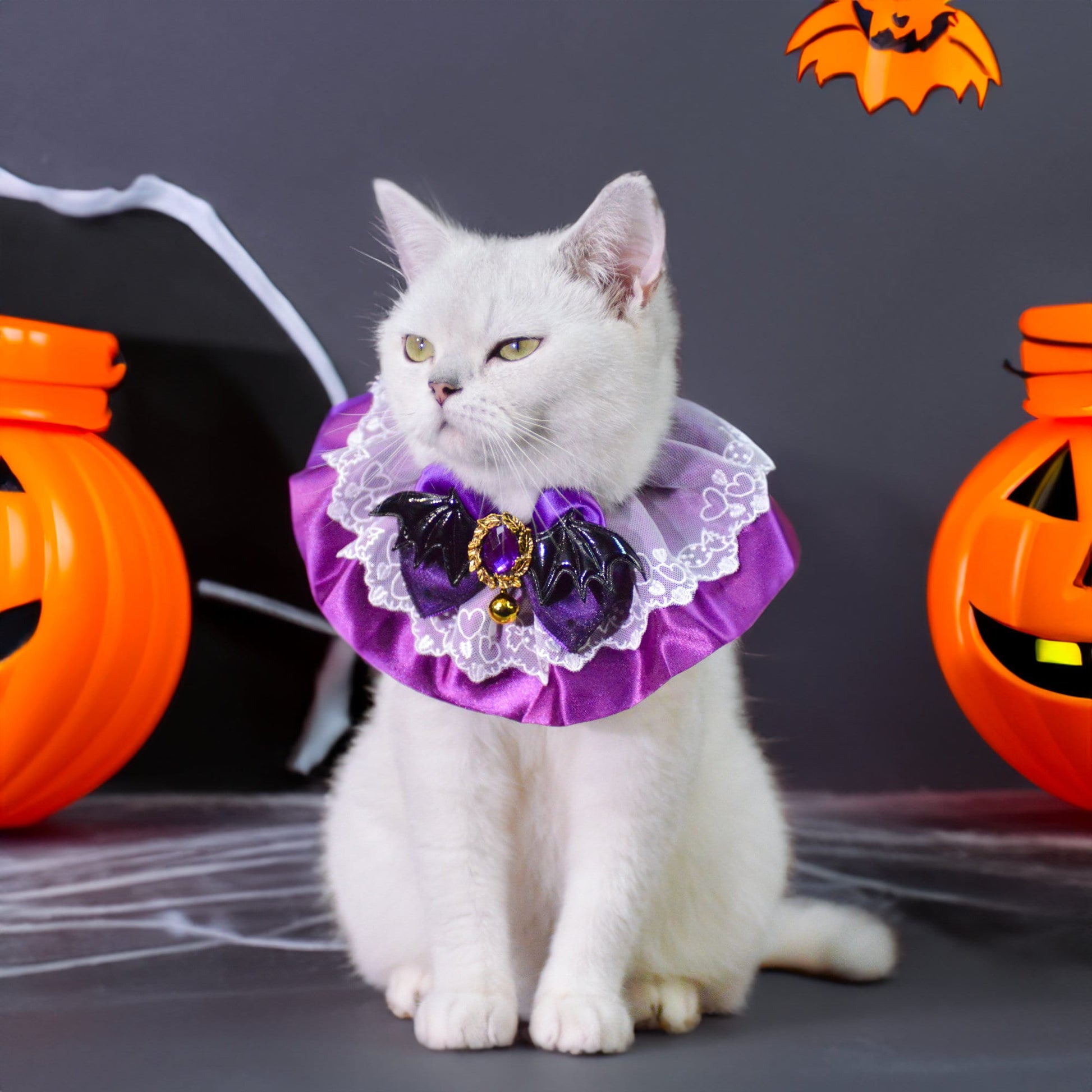 Enchanting Christmas Pet Costume Set - Witch Hat and Purple Queen Collarcat Hat Halloween|Cat Hat Halloween|Knit Cat Hats