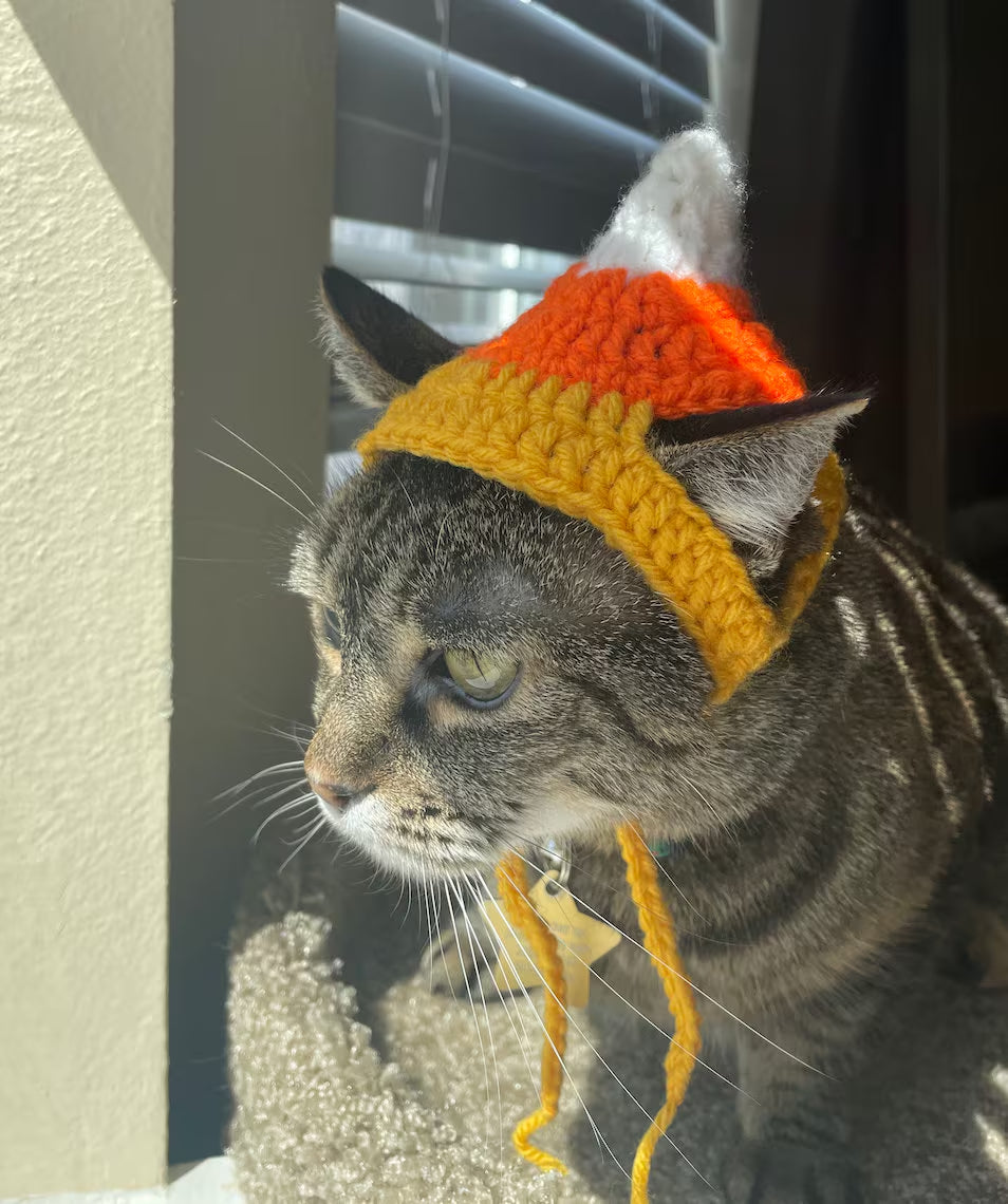 Cat Candy Corn Hat - Available for All Pets - Dog / Cat / Pet Hat