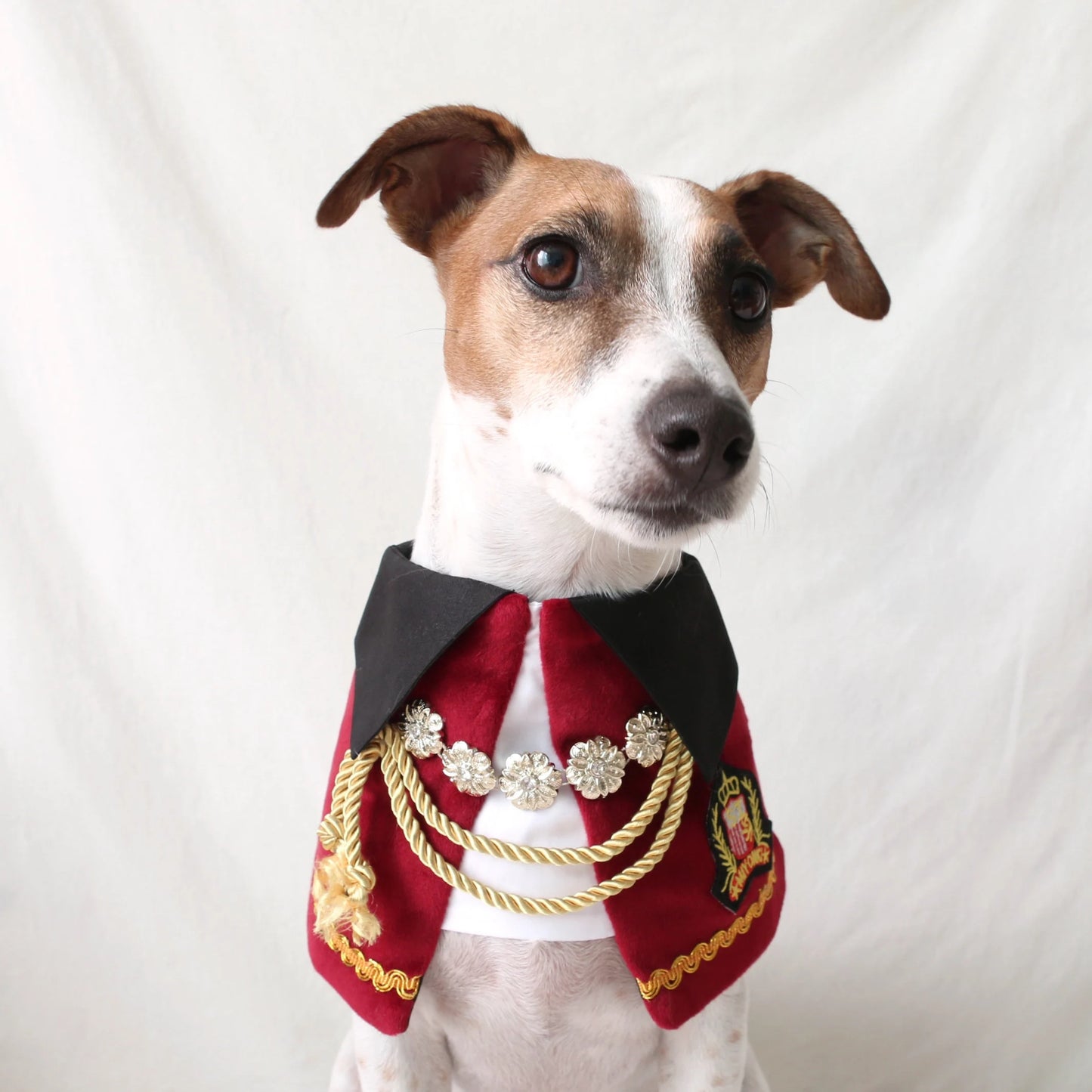 Royal Prince Pet Costume: Cat Dog Count Cape - Halloween Christmas