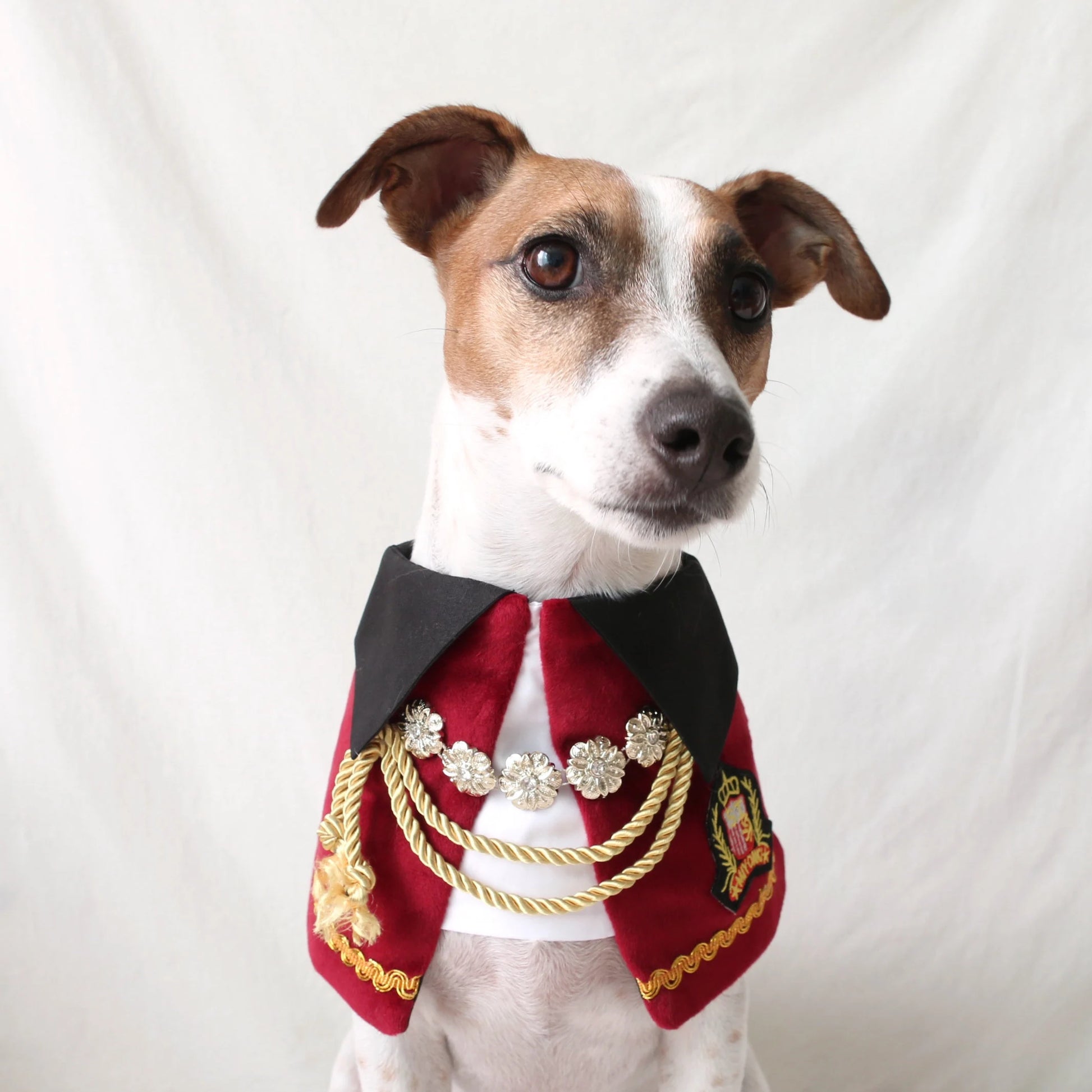 Royal Prince Pet Costume: Cat Dog Count Cape - Halloween Christmas