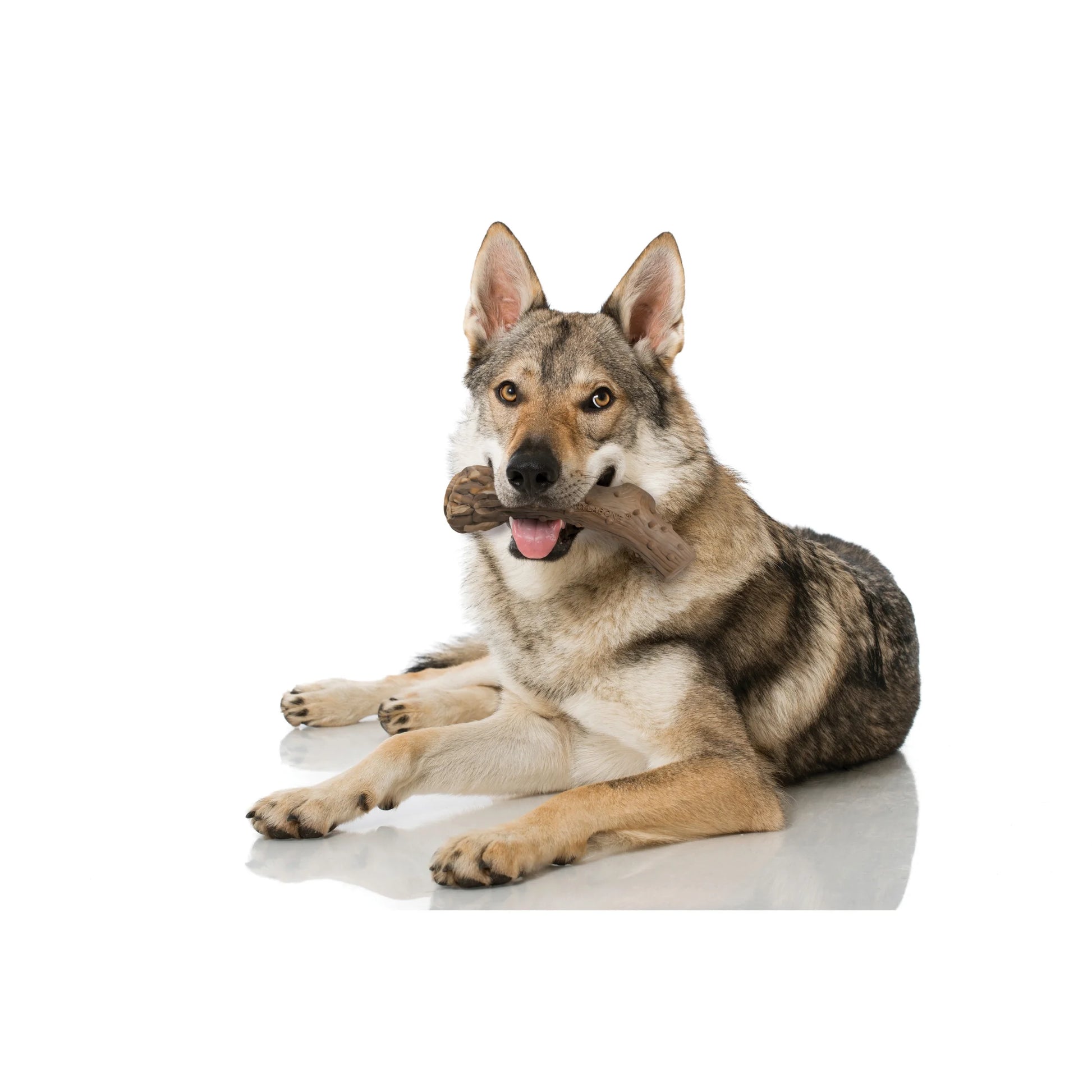 Power Chew Antler Alternative Dog Chew Toy Venison Large (1 Count)