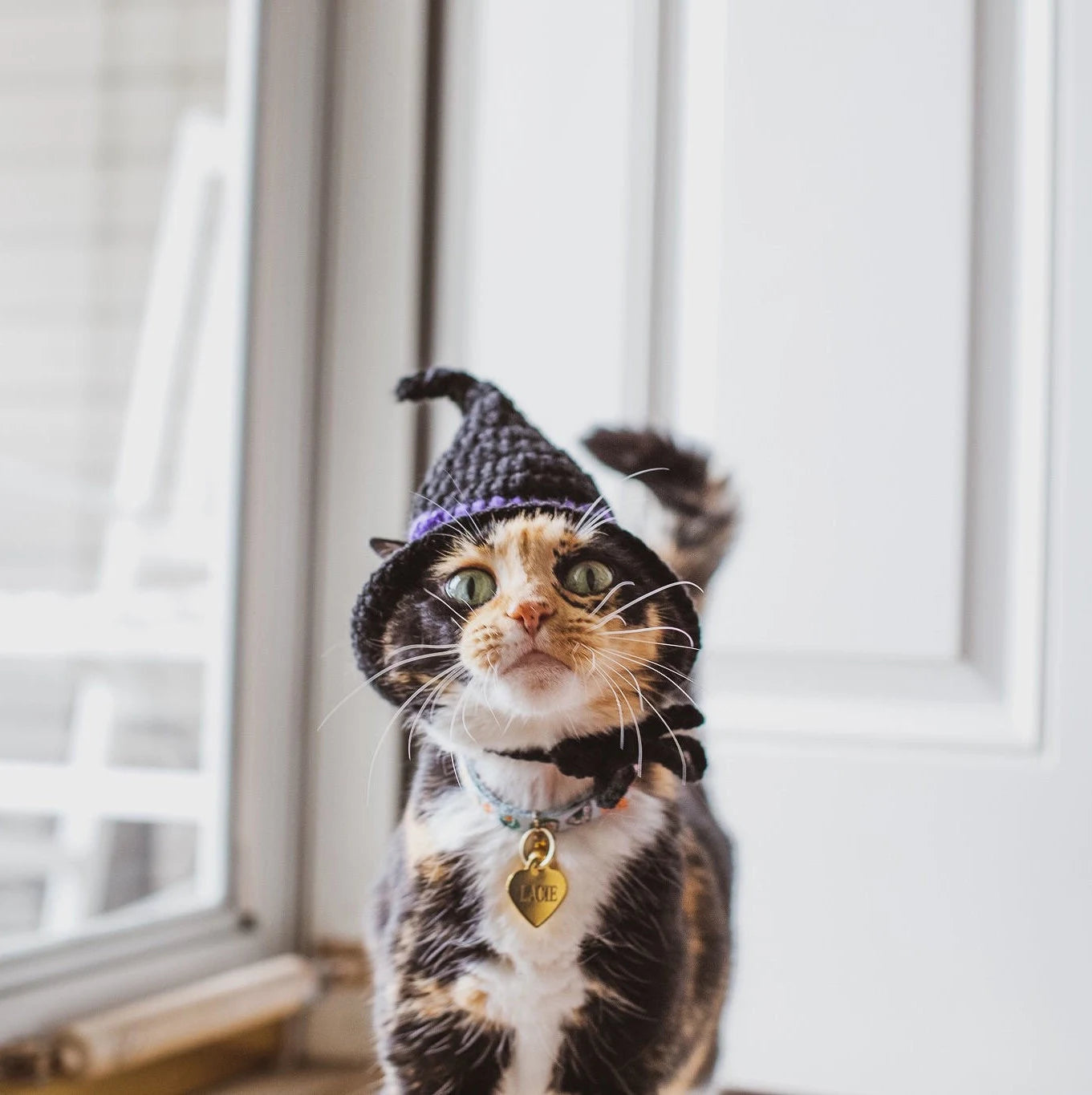 Witch Hat Cat Costumes Cat Accessories Cat Clothings Cat Accessories Cat Supplies Pet Costumes Pet Accessories Pet Clothings Pet Su