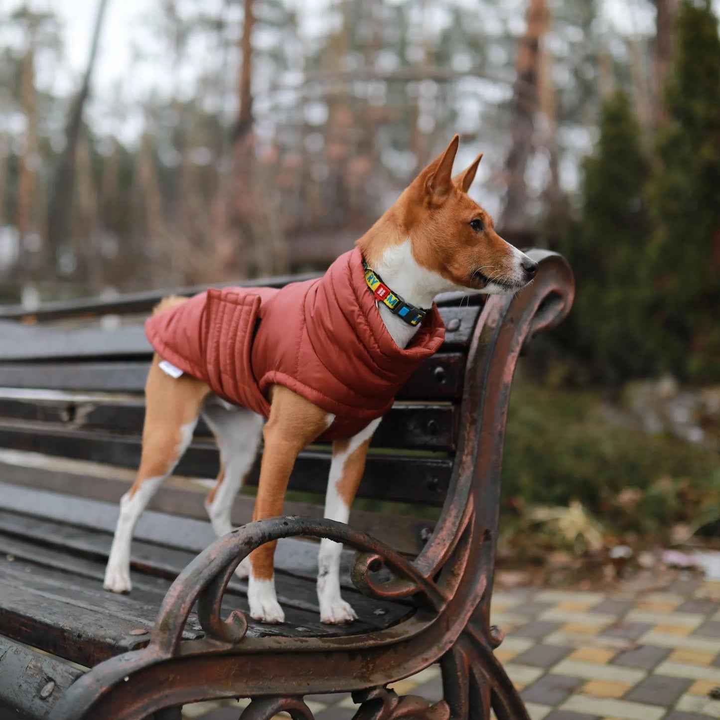 Warm Winter Coat for Dogs - Waterproof and Windproof Winter Jacket for Dogs - Stylish Pet Clothes - Pet Clothes - Dog Lover - Gift for Dogs