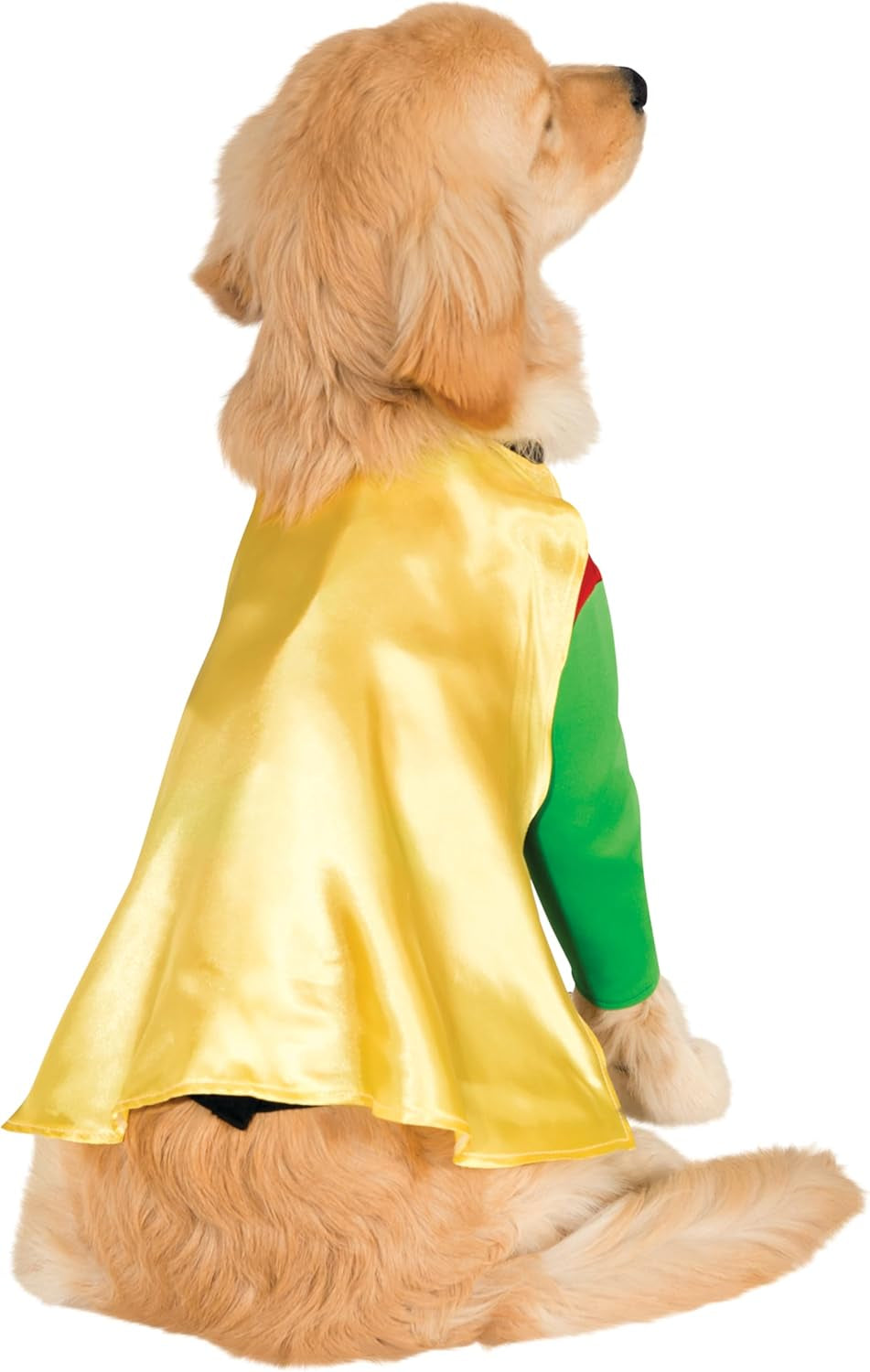 Teen Titans: Robin Pet Costume for Dogs or Cats, 3X