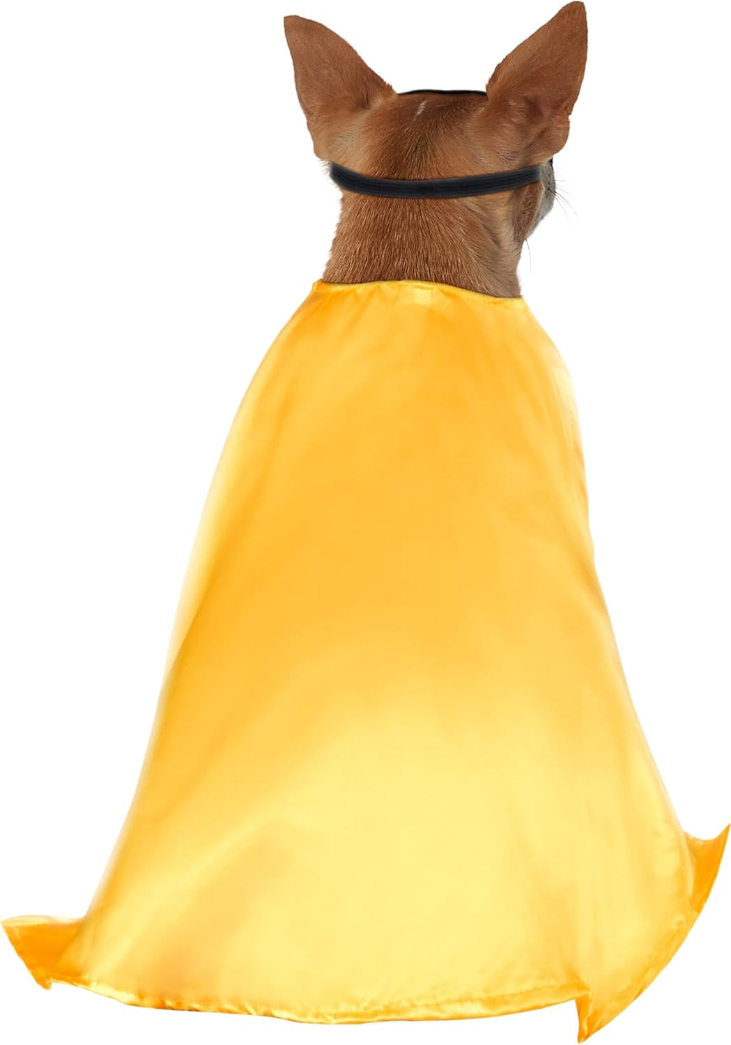 Teen Titans: Robin Pet Costume for Dogs or Cats, 3X