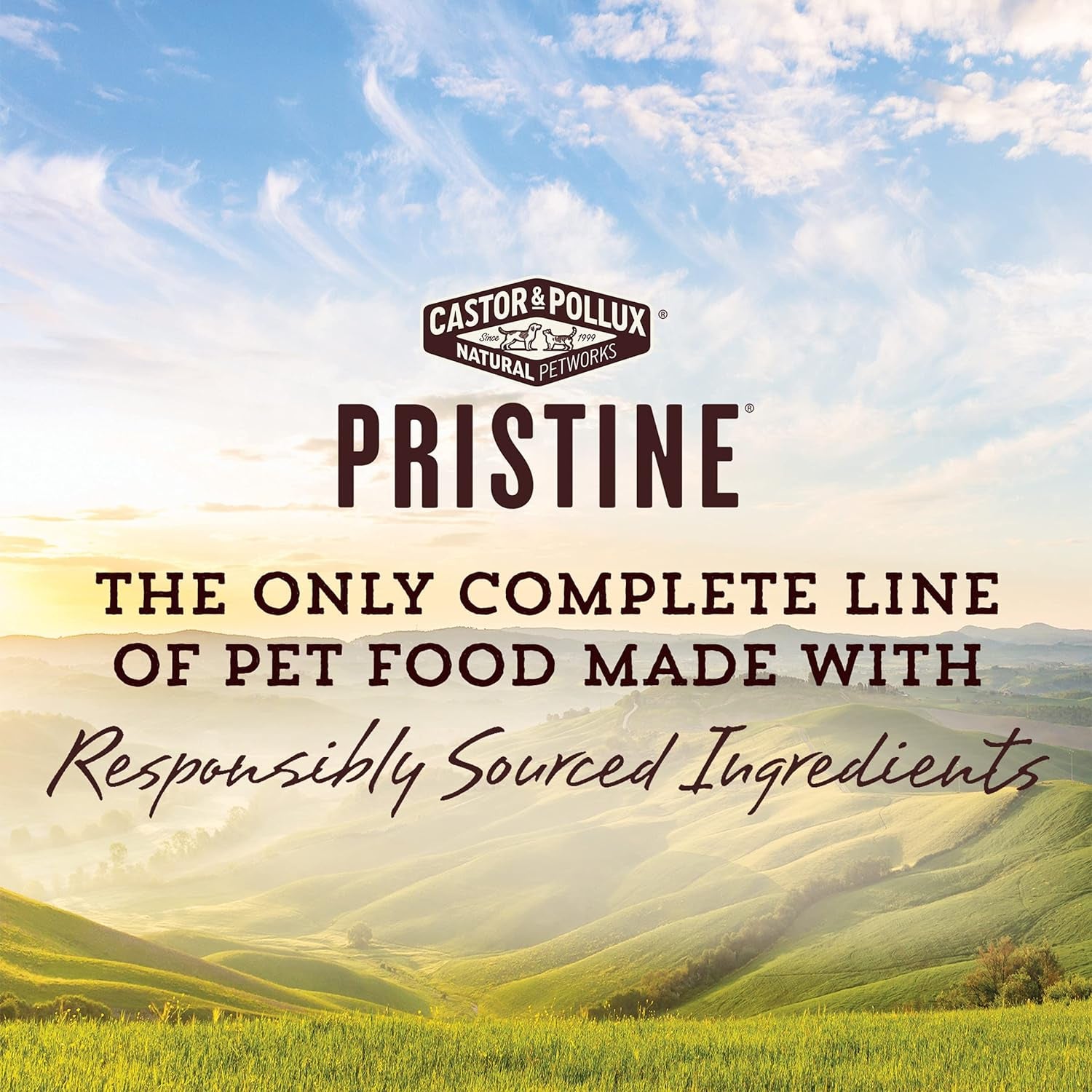 PRISTINE Grain Free Free-Range Turkey Recipe Morsels in Gravy Wet Cat Food
