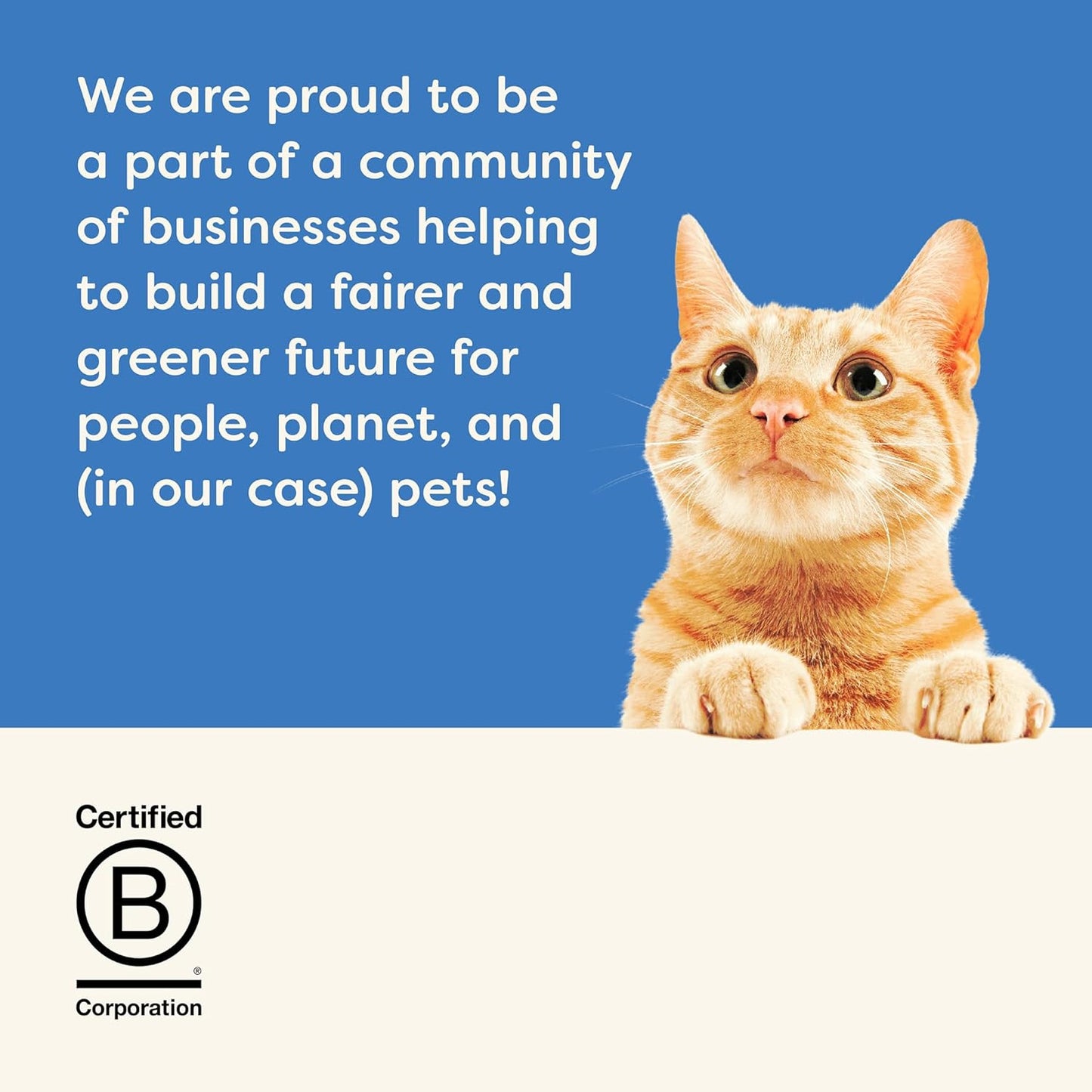 Natural Cat Treats, Grain-Free, Single Ingredient, Whole Protein Fillet, Healthy Snacks with No Artificial Additives (6 X 1.06Oz Whole Salmon Loin)