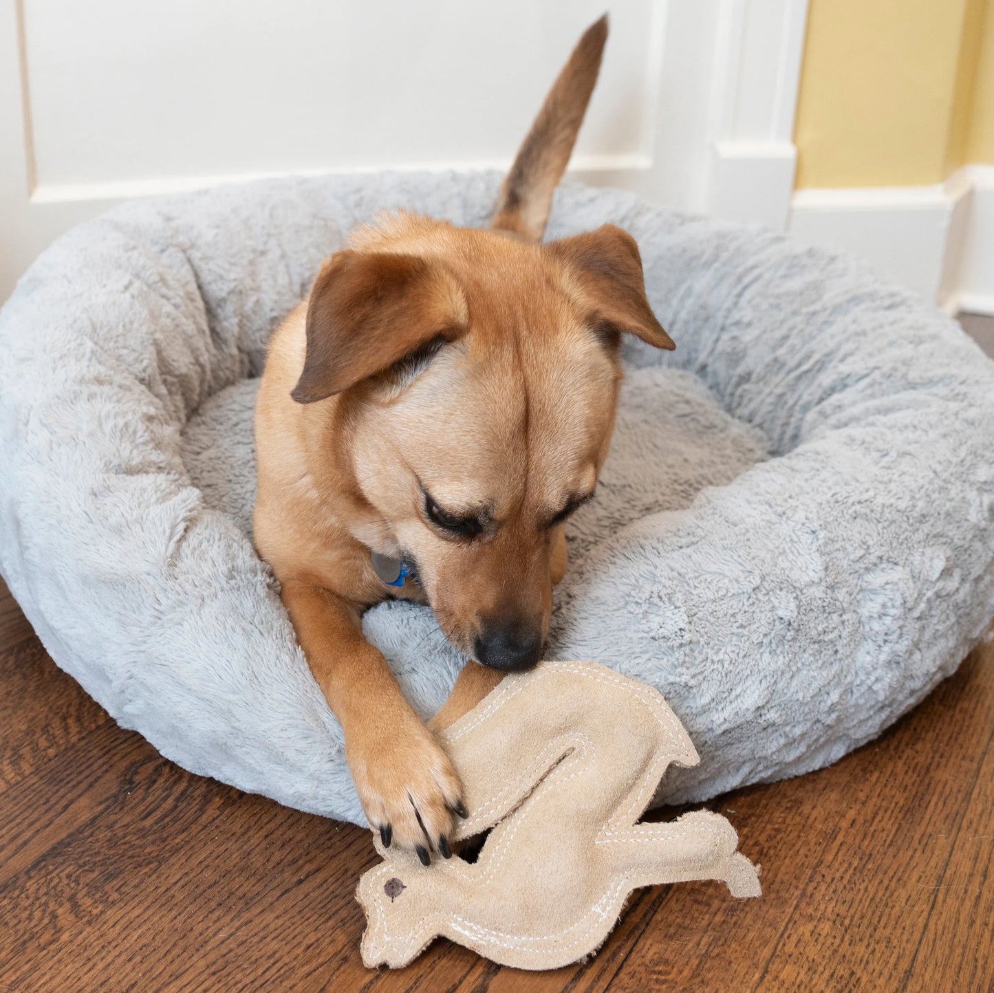 SPOT Dura-Fused Leather Fox Dog Toy – Durable Chew Toy with Squeaker for Small & Medium Dogs 🦊🐾
