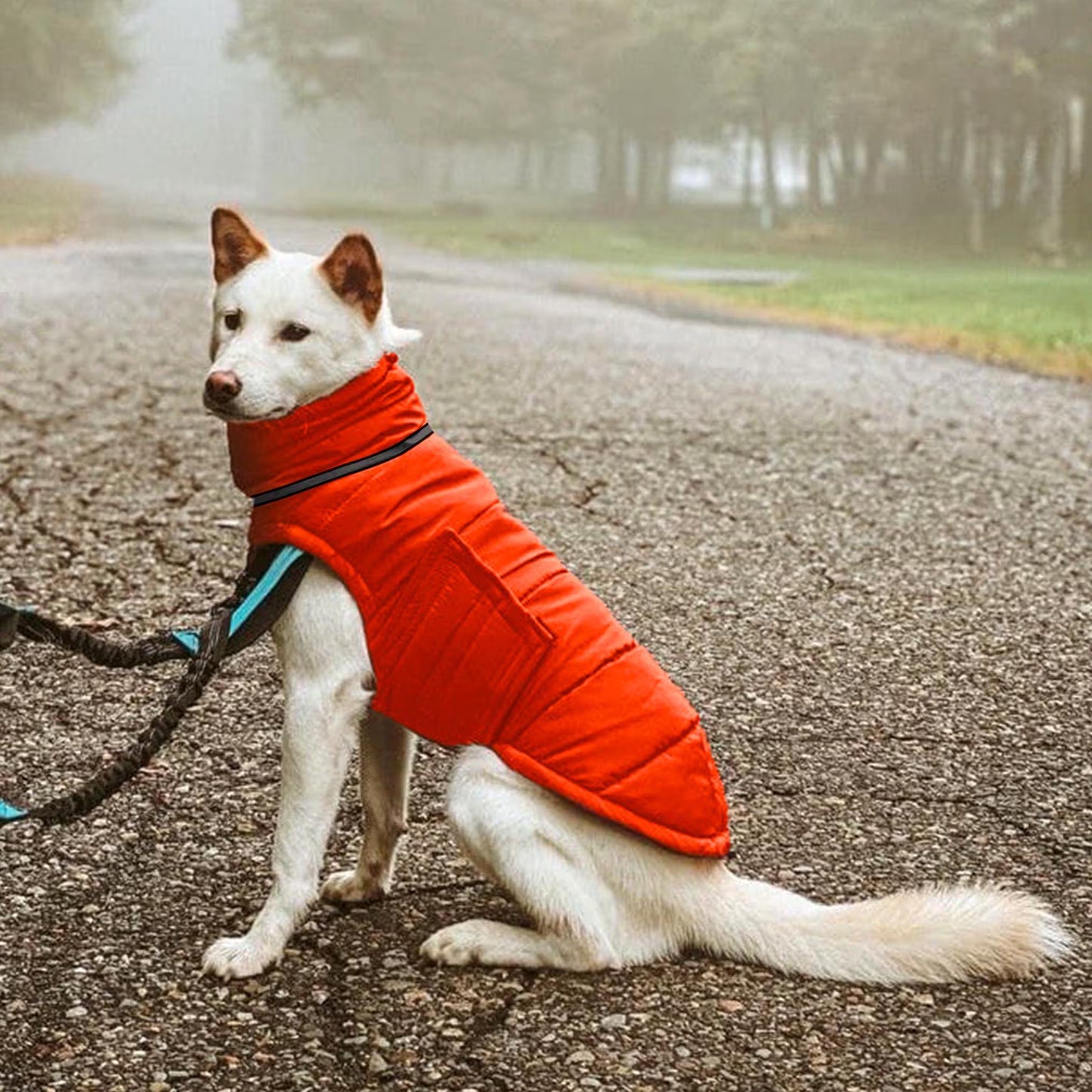 Warm Winter Coat for Dogs - Waterproof and Windproof Winter Jacket for Dogs - Stylish Pet Clothes - Pet Clothes - Dog Lover - Gift for Dogs
