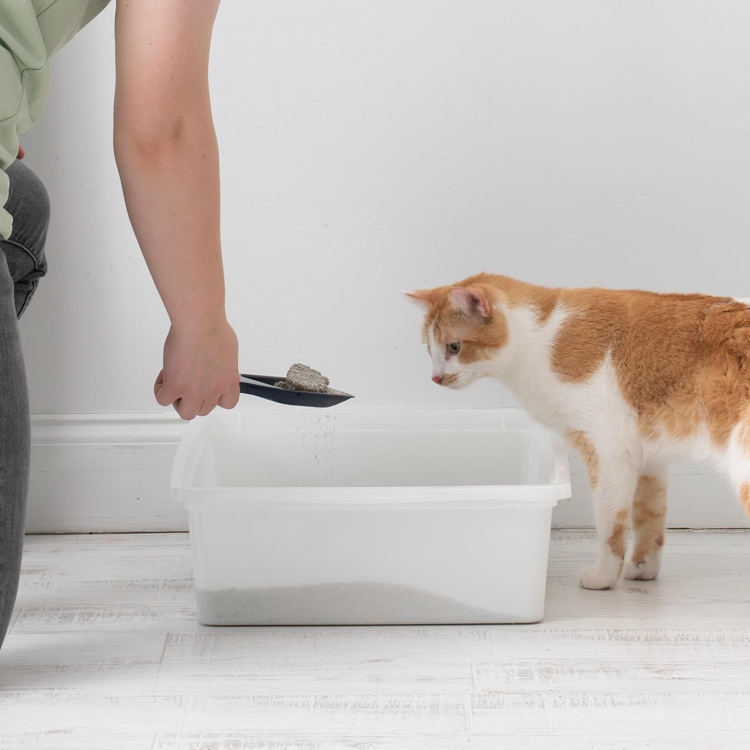 IRIS USA Large Open Top Cat Litter Box, Kitty Litter Pan, Pearl
