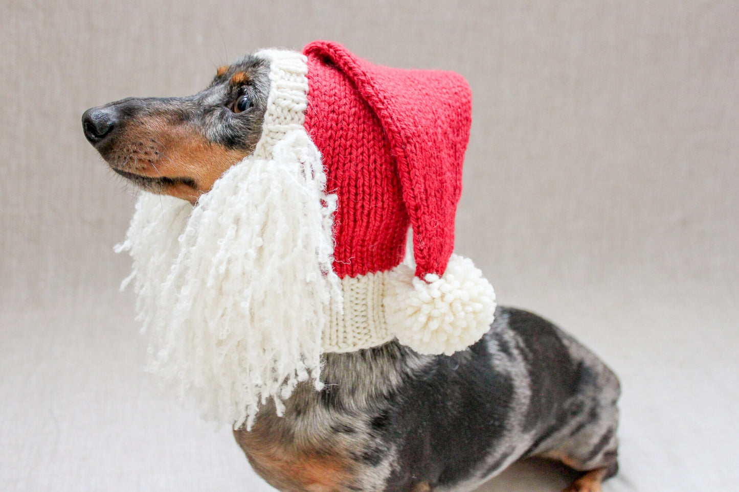 Santa Beard Dog Hat Costume in Vintage Christmas Style