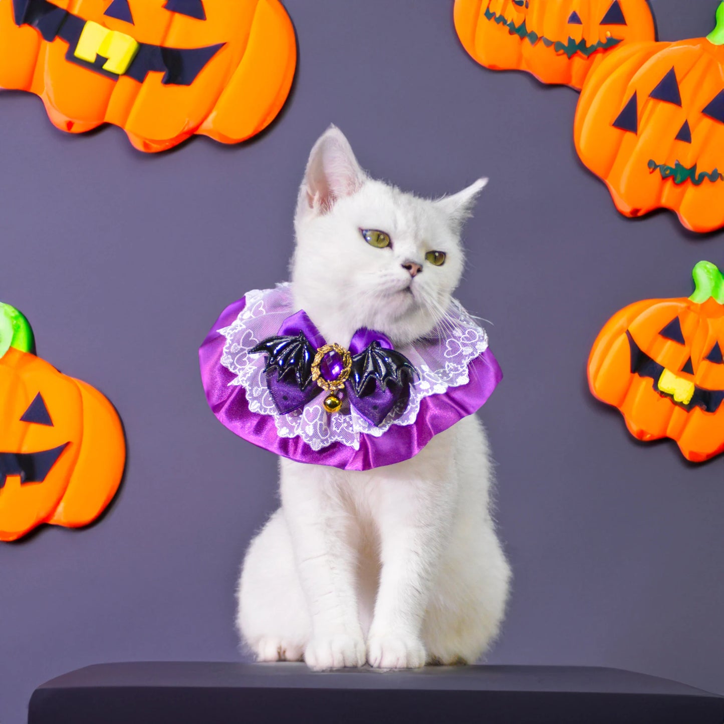 Enchanting Christmas Pet Costume Set - Witch Hat and Purple Queen Collarcat Hat Halloween|Cat Hat Halloween|Knit Cat Hats