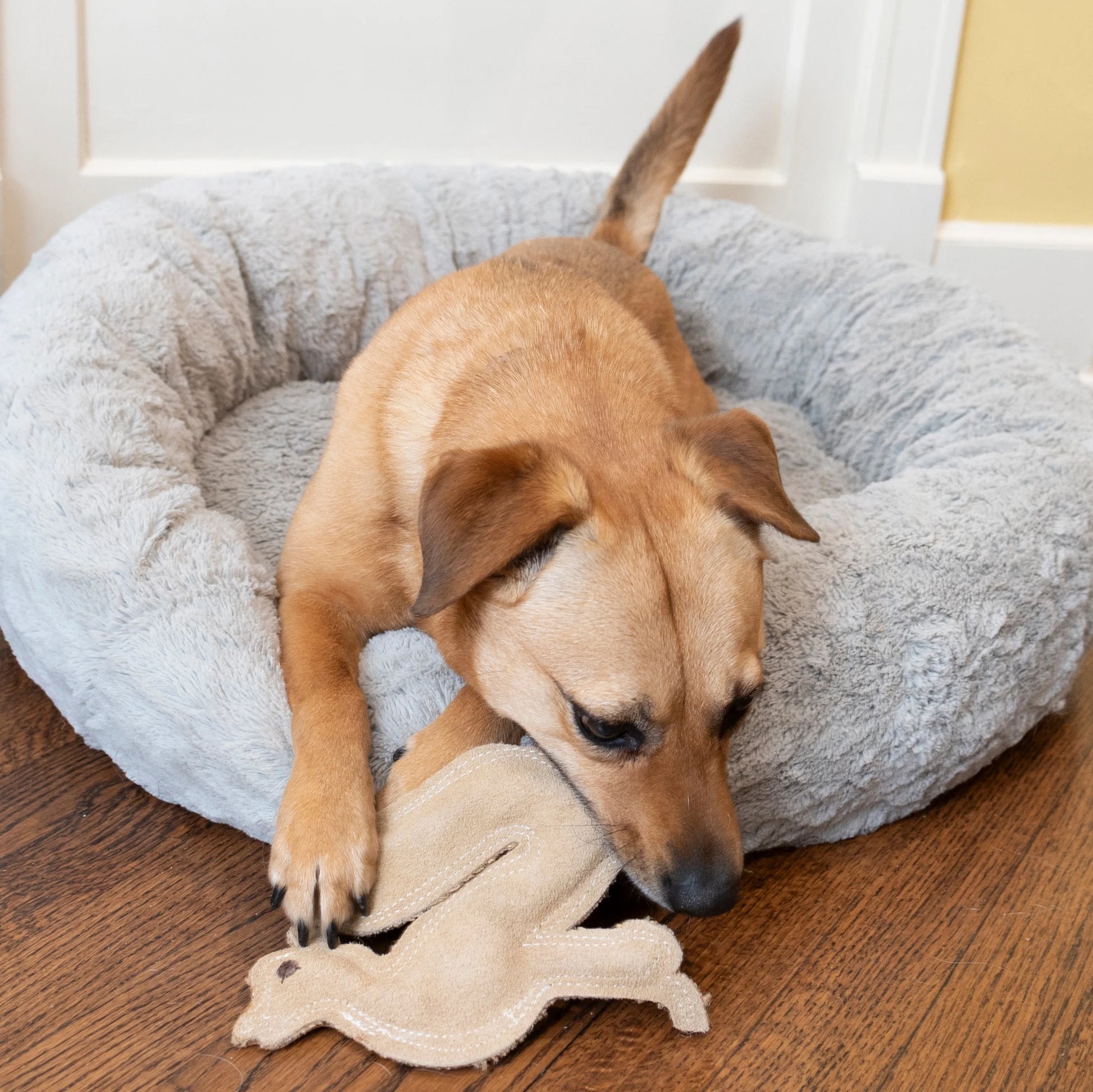SPOT Dura-Fused Leather Fox Dog Toy – Durable Chew Toy with Squeaker for Small & Medium Dogs 🦊🐾