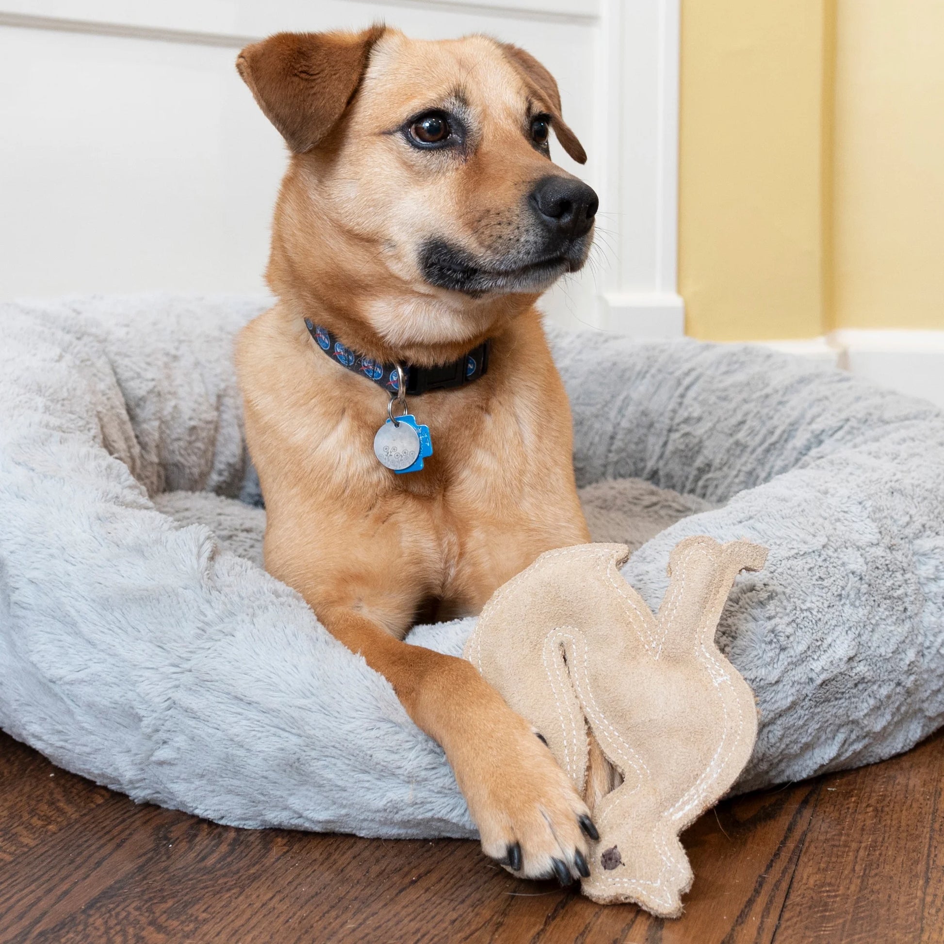 SPOT Dura-Fused Leather Fox Dog Toy – Durable Chew Toy with Squeaker for Small & Medium Dogs 🦊🐾