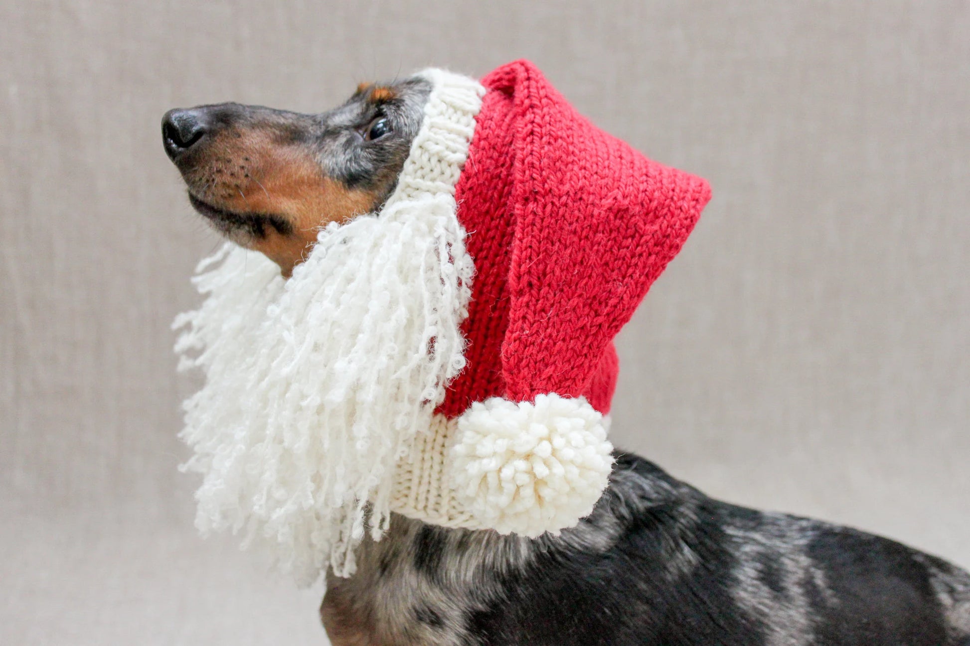 Santa Beard Dog Hat Costume in Vintage Christmas Style