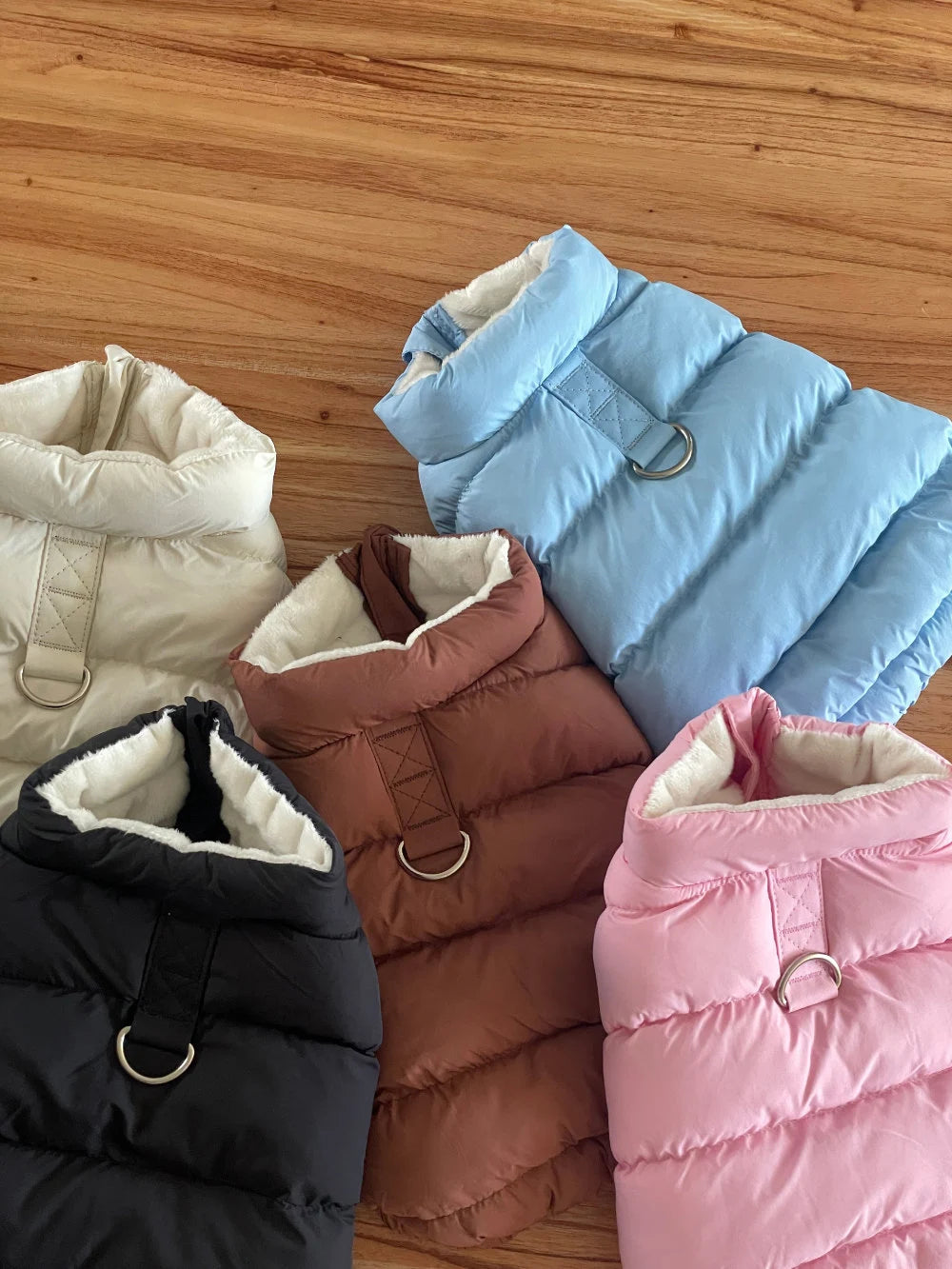 D-Ring Puffer Jacket, S-2XL, Winter Jacket, Small Dog Clothes, Dog Jacket, Dog Fashion, Dog Apparel, Pet Clothing