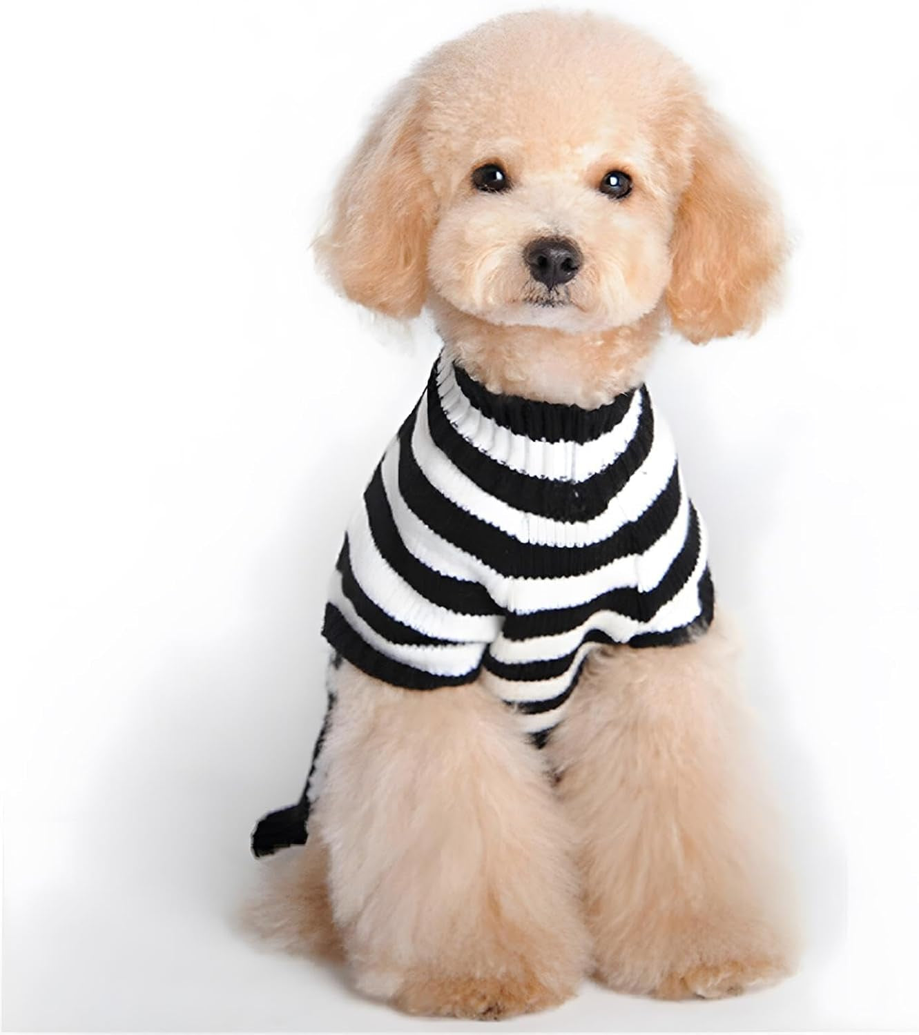 Pet Sweaters Skeleton - Little Puppy (Small) Black