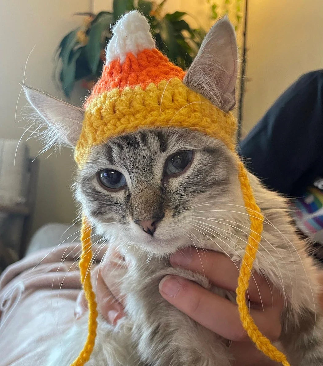 Cat Candy Corn Hat - Available for All Pets - Dog / Cat / Pet Hat