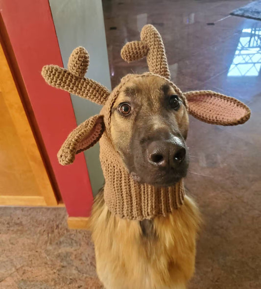 Reindeer Costume for Dogs