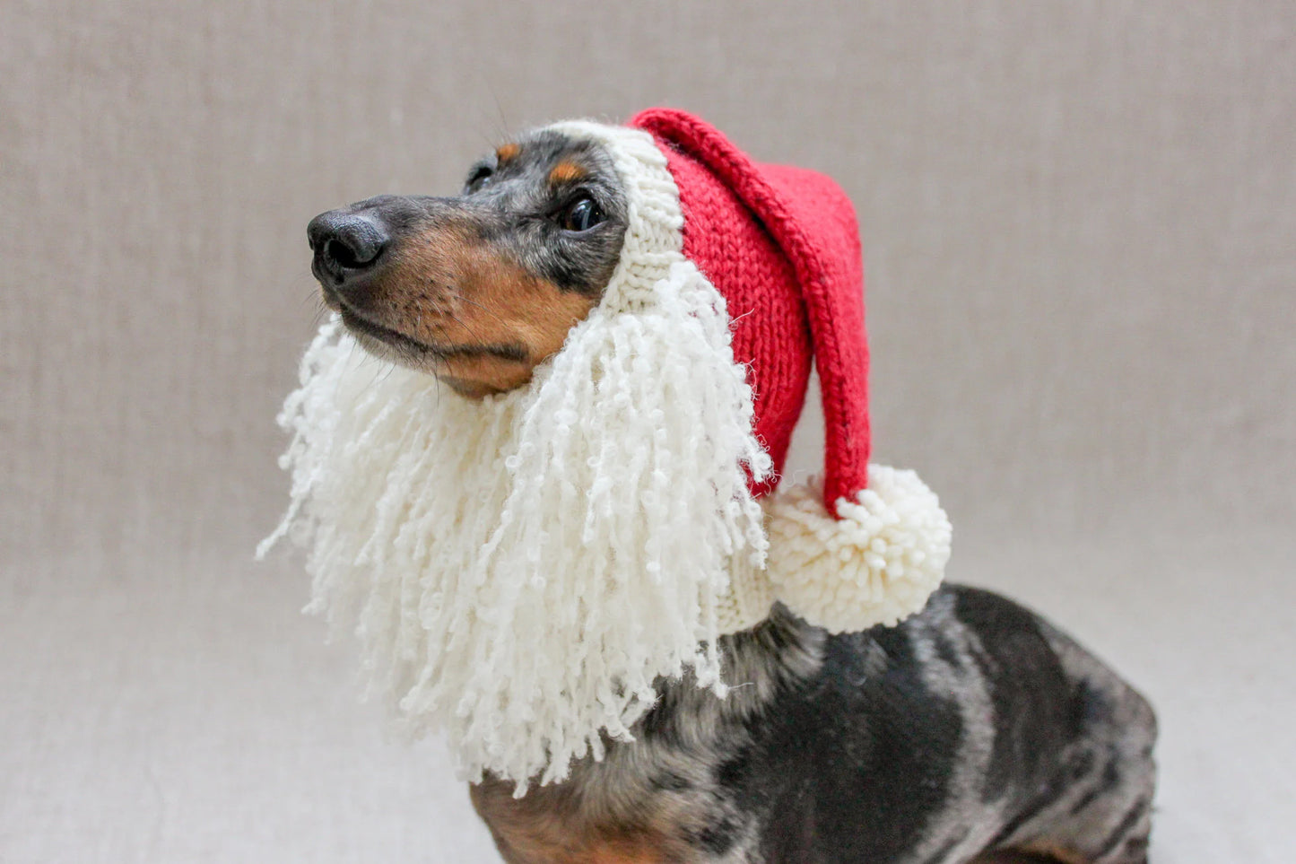 Santa Beard Dog Hat Costume in Vintage Christmas Style