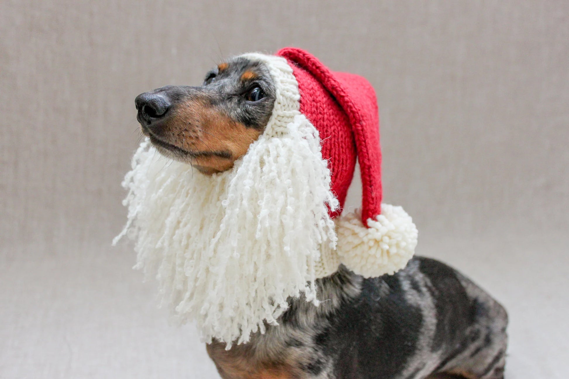 Santa Beard Dog Hat Costume in Vintage Christmas Style