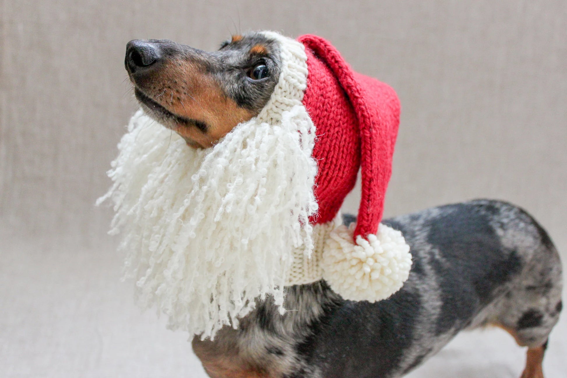Santa Beard Dog Hat Costume in Vintage Christmas Style