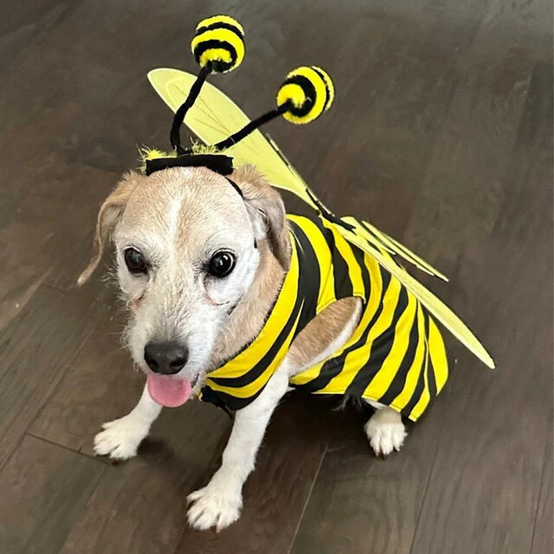 DOG COSTUME. "Bumble Bee" Dog Costume, Halloween for Pets,