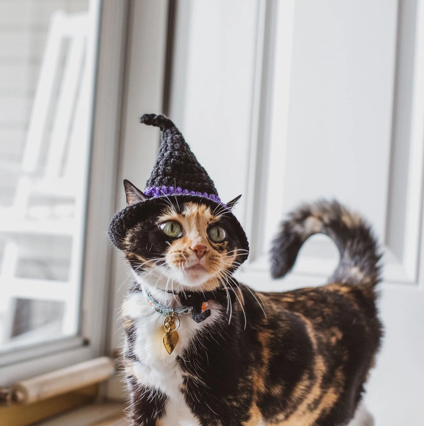 Witch Hat Cat Costumes Cat Accessories Cat Clothings Cat Accessories Cat Supplies Pet Costumes Pet Accessories Pet Clothings Pet Su