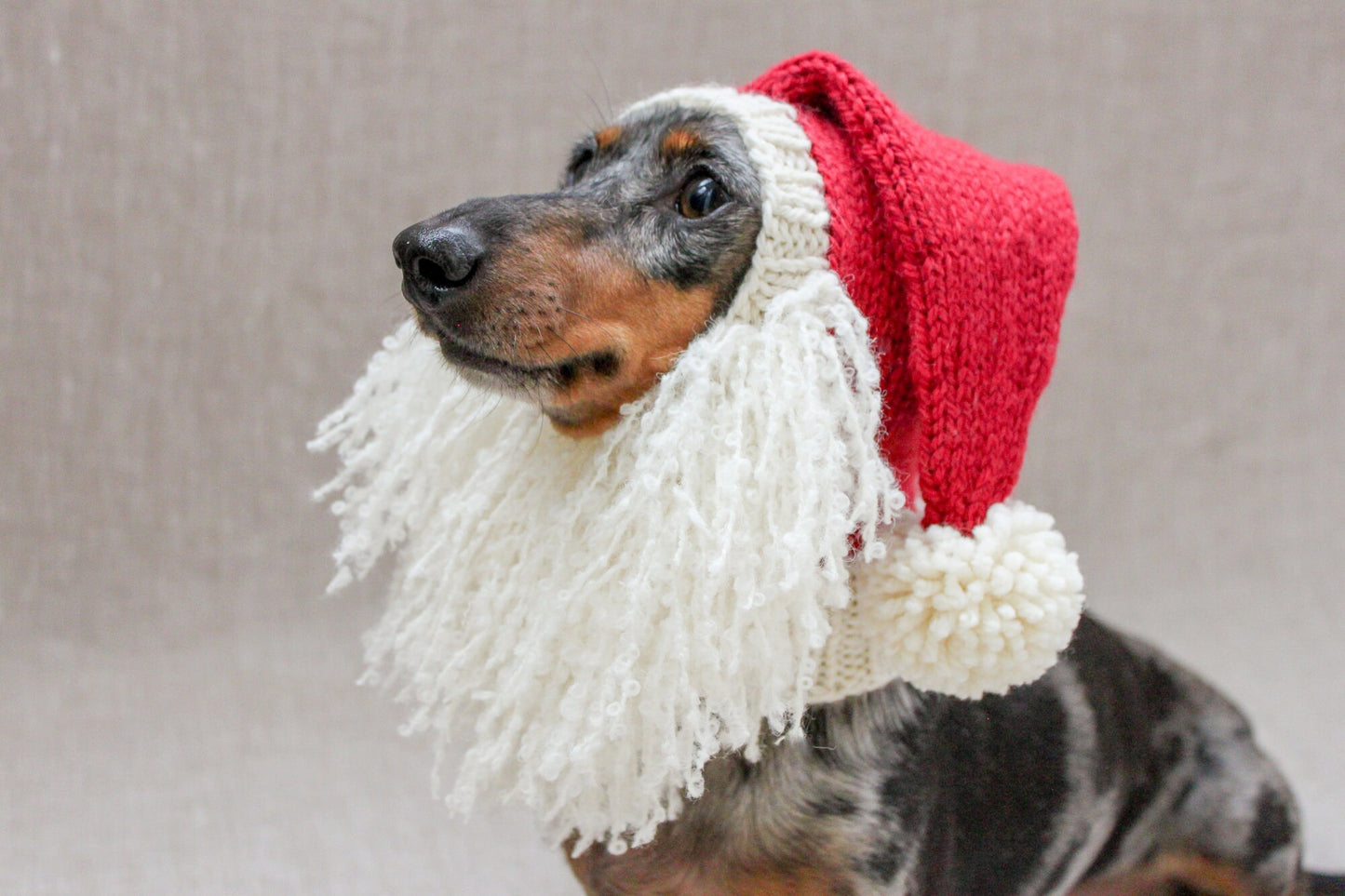 Santa Beard Dog Hat Costume in Vintage Christmas Style