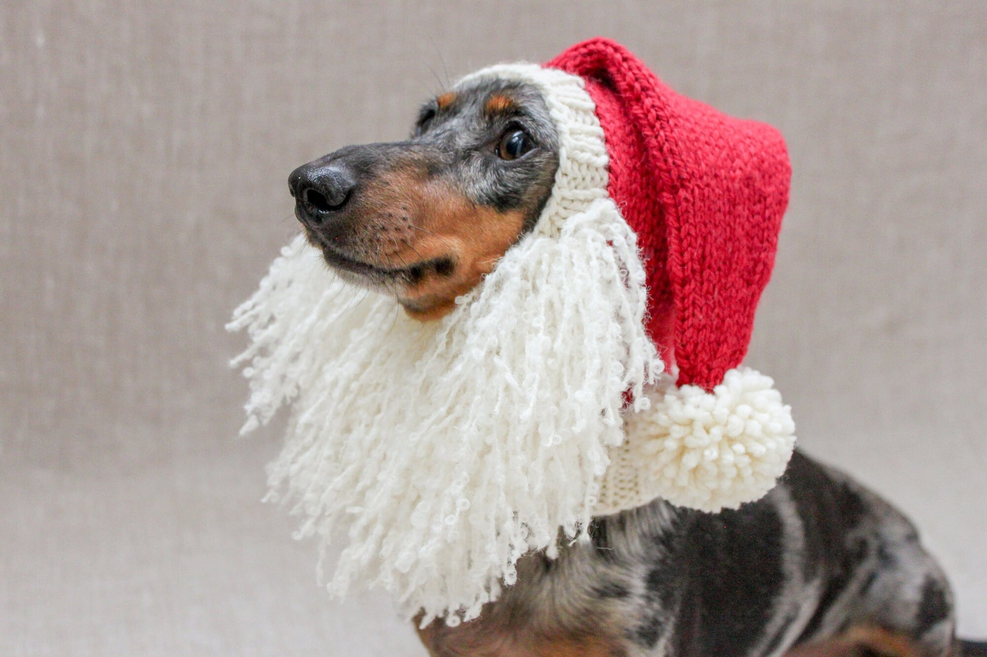 Santa Beard Dog Hat Costume in Vintage Christmas Style