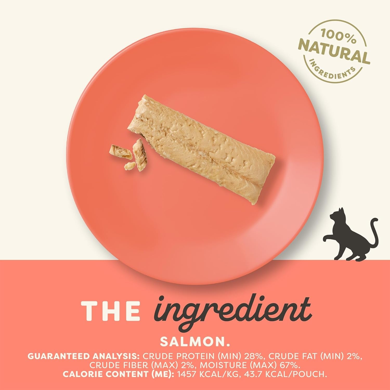 Natural Cat Treats, Grain-Free, Single Ingredient, Whole Protein Fillet, Healthy Snacks with No Artificial Additives (6 X 1.06Oz Whole Salmon Loin)
