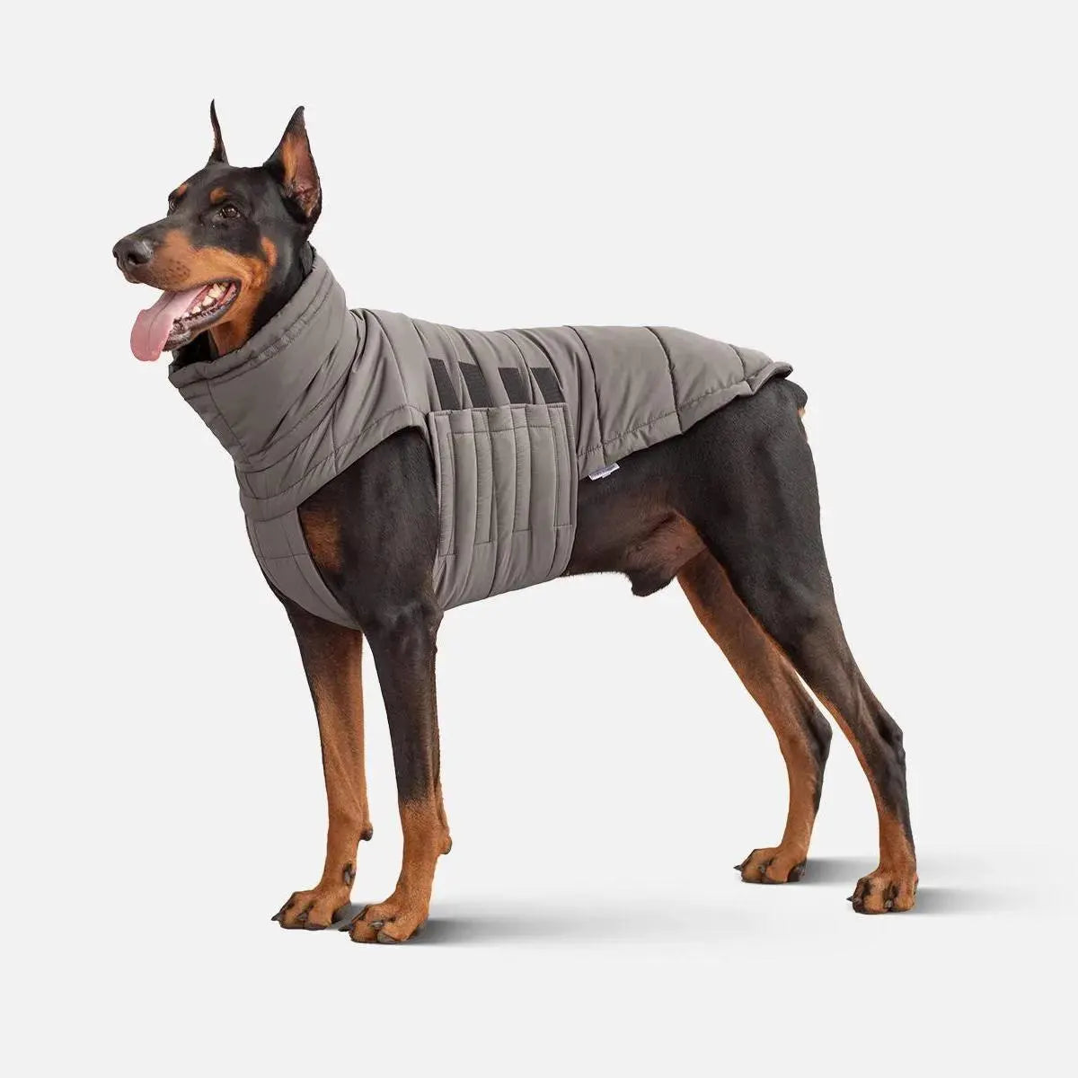 Warm Winter Coat for Dogs - Waterproof and Windproof Winter Jacket for Dogs - Stylish Pet Clothes - Pet Clothes - Dog Lover - Gift for Dogs