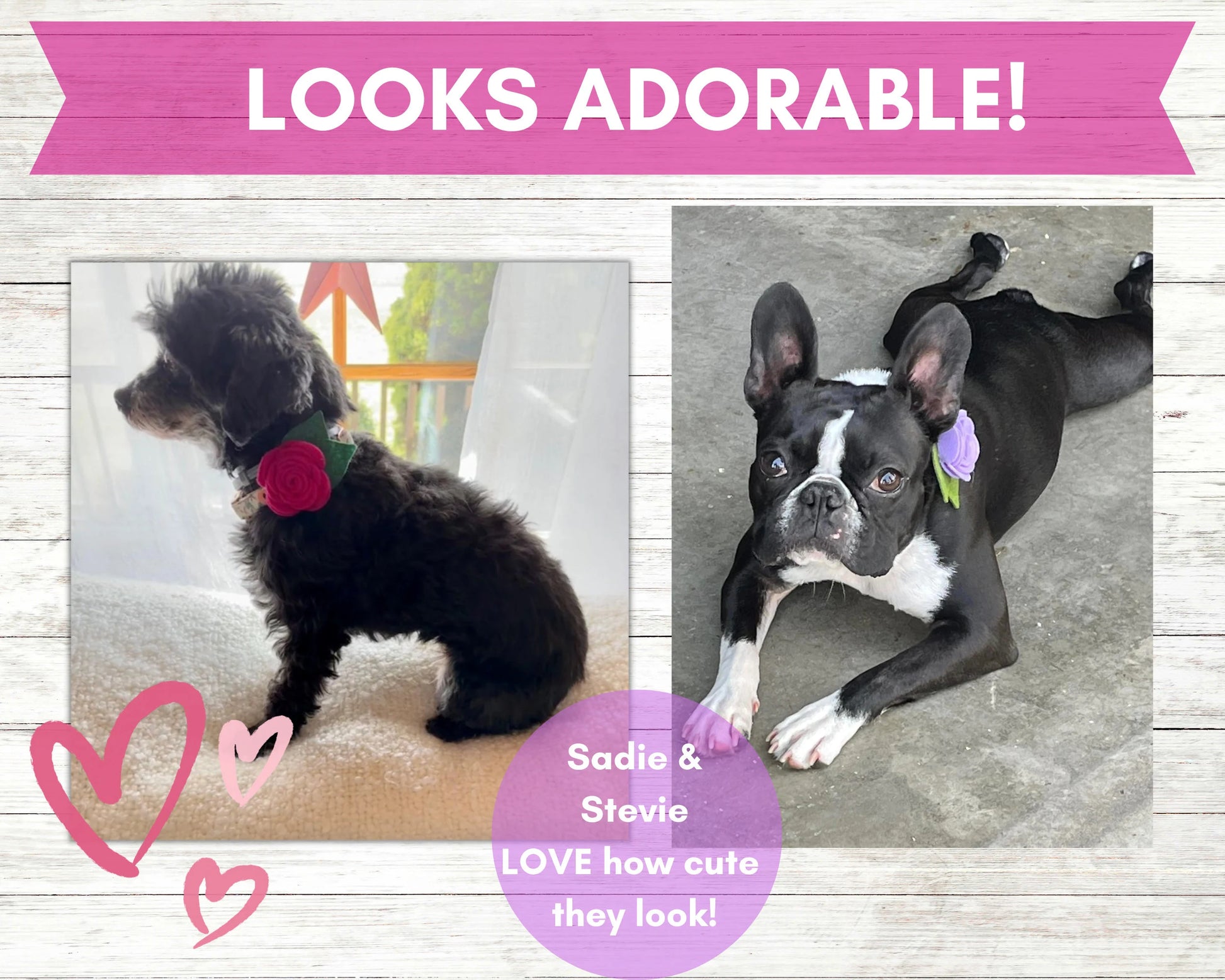 Dog or Cat Collar Flower- 2" or 3" Felt Dog/Cat Collar Flower Attachment -Removable Pet Collar Accessory-Kids,Wedding,Gift,Backpack,Multiuse