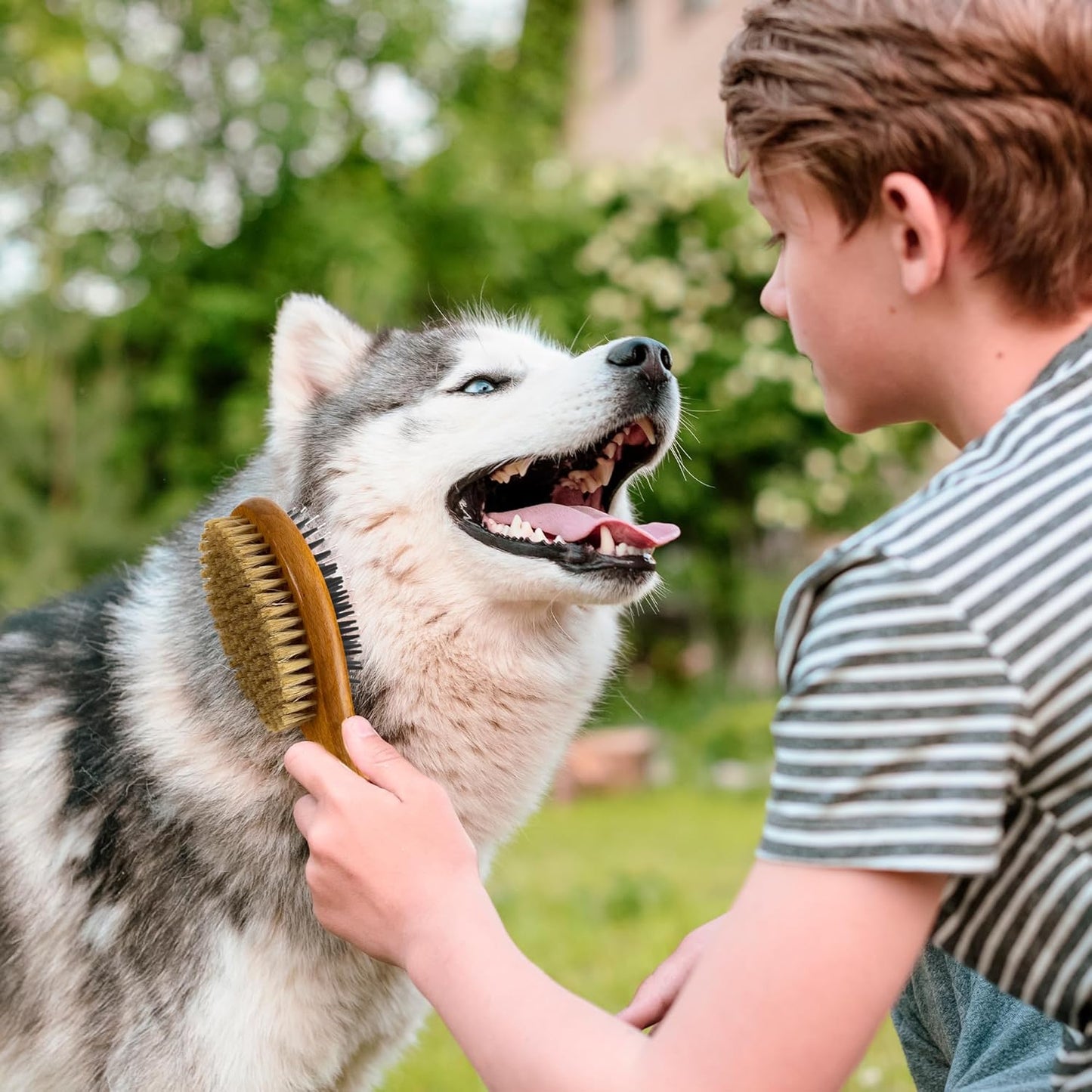 Short Hair Dog & Cat Deshedding Brush - Double Sided Grooming Tool with Silicone Massage & Bristle Sides - Removes Loose Fur & Dirt - Wood Handle