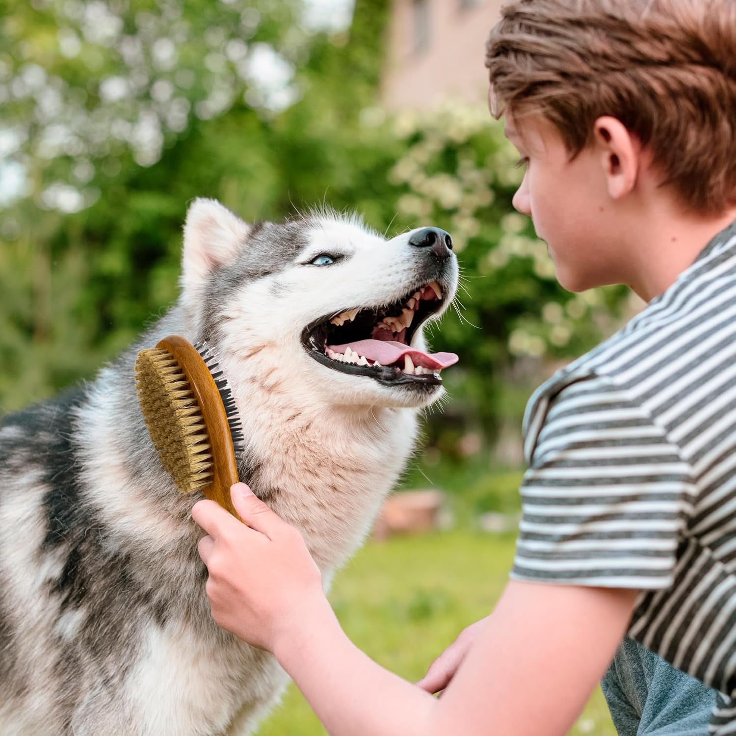 Short Hair Dog & Cat Deshedding Brush - Double Sided Grooming Tool with Silicone Massage & Bristle Sides - Removes Loose Fur & Dirt - Wood Handle