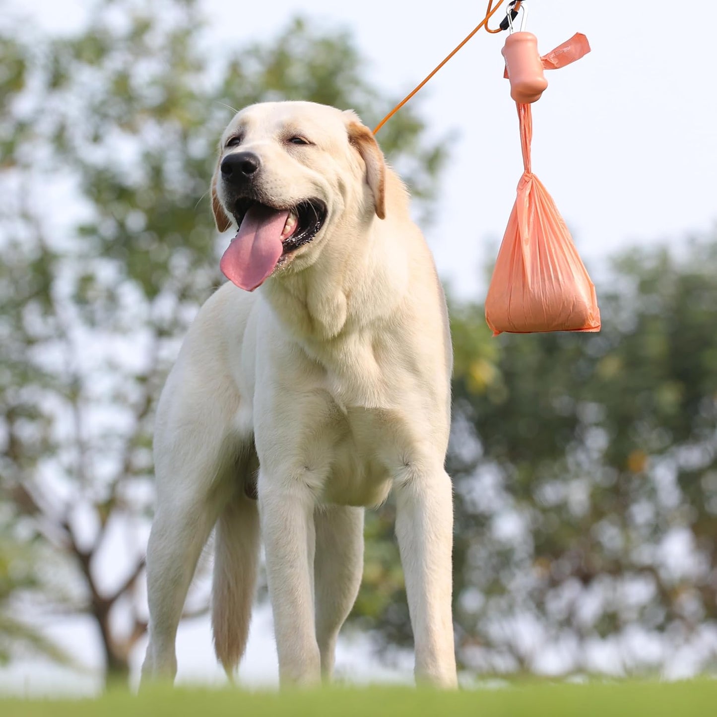 Dog Poop Bags with Handles 30 Rolls 360 Counts Big Sizes Leak Proof and Extra Thick Waste Bags Refill Rolls for Walking Small Medium Large Dogs Cats Litter Peach Scented